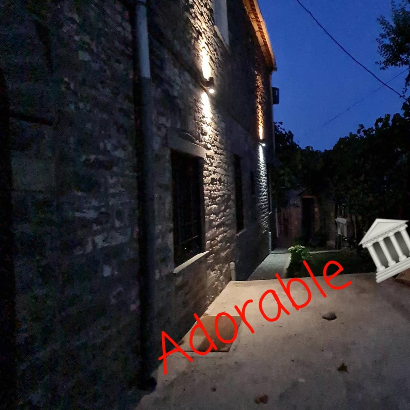 Garden Guest House, photo 7