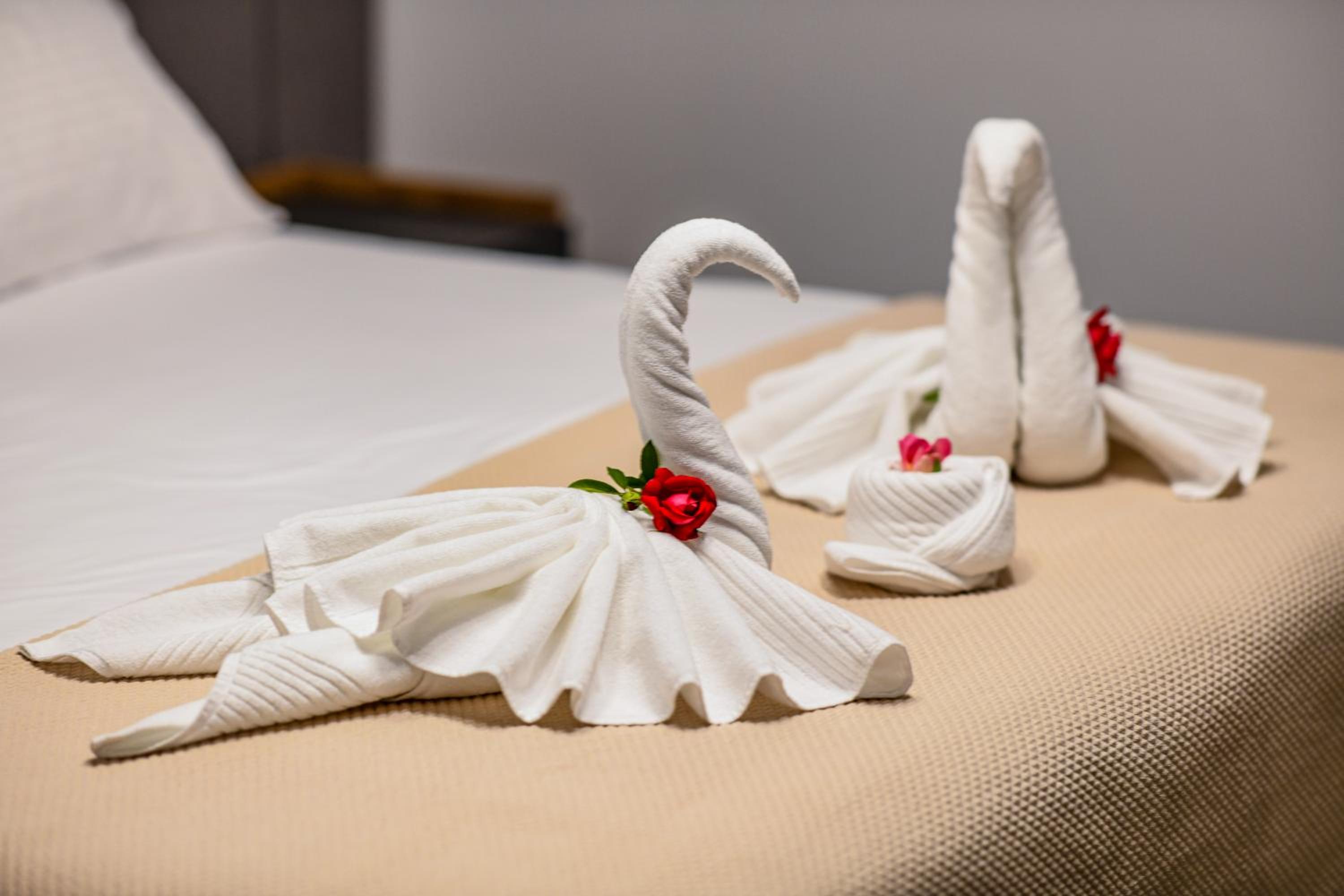 Hotel Necko