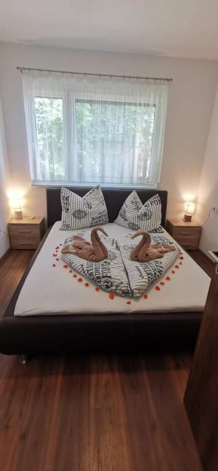 Ohana Wellness apartman view 5