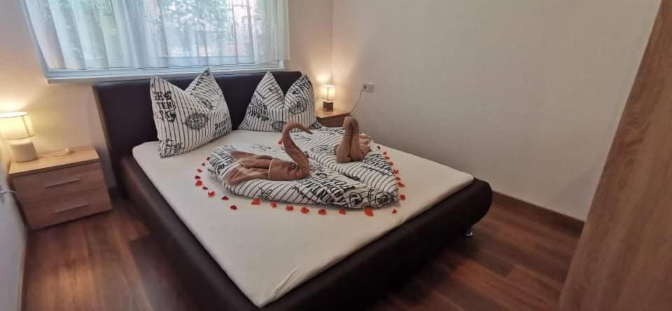 Ohana Wellness apartman view 4