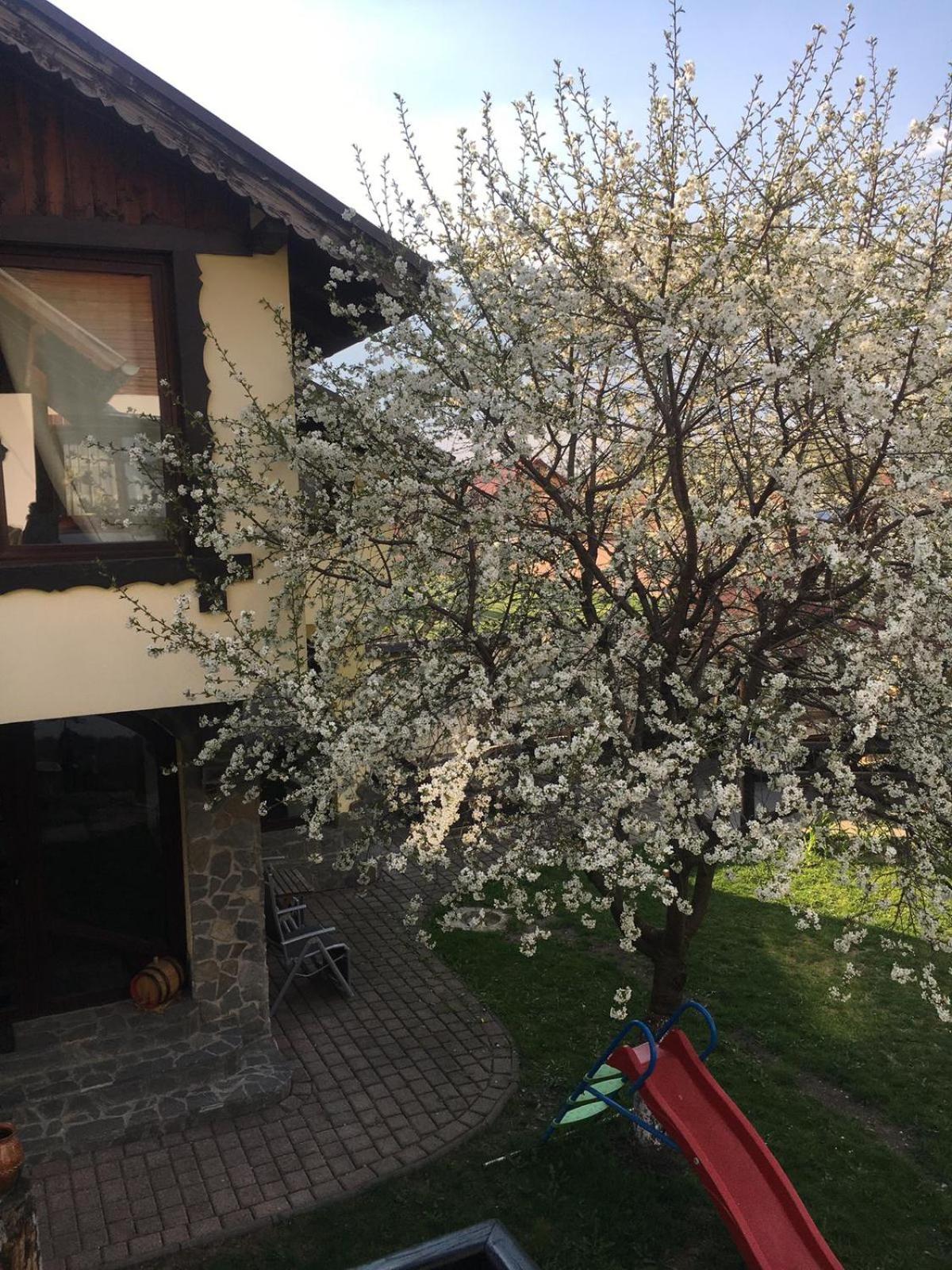 Photo 51