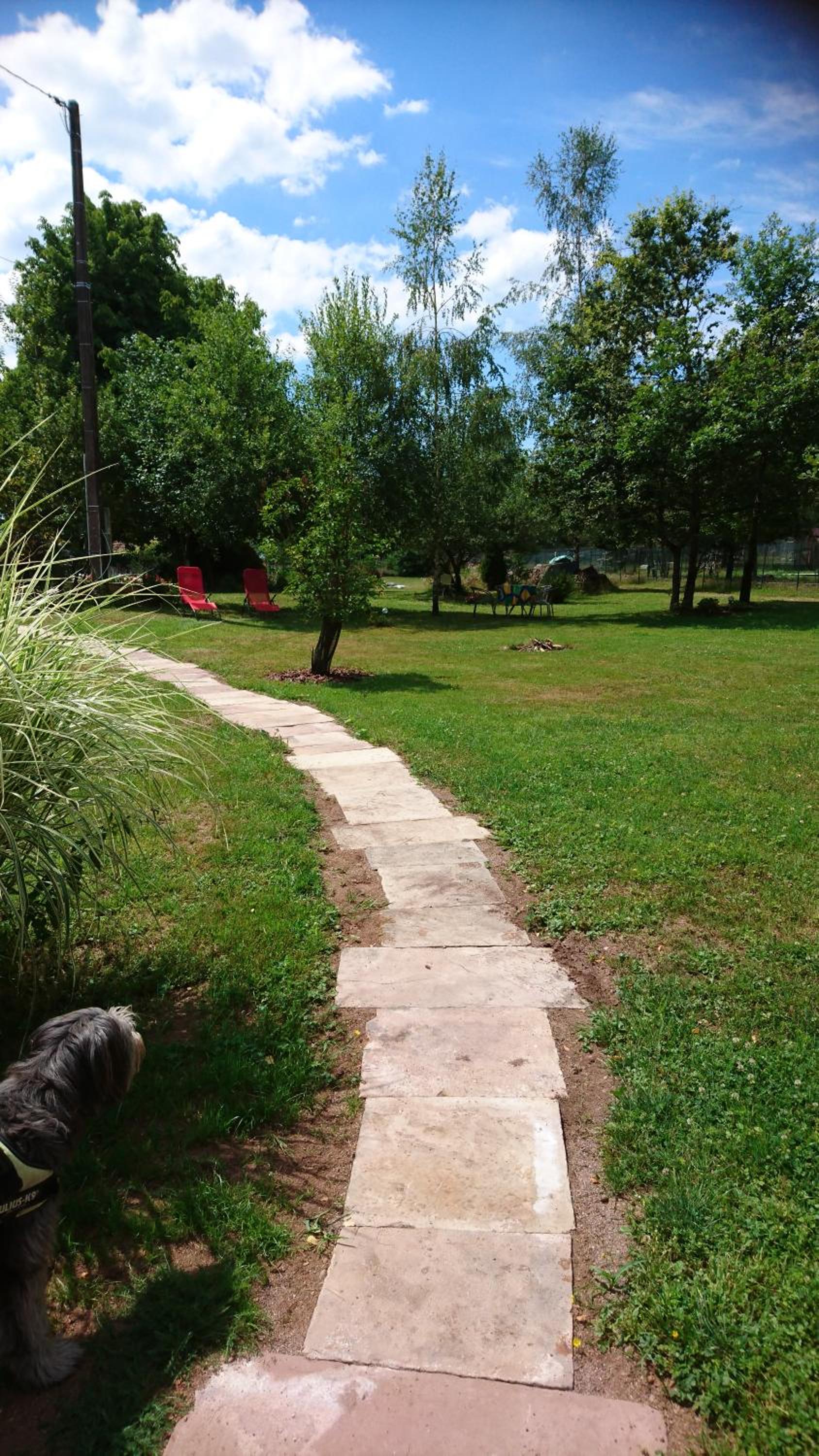 Photo 25