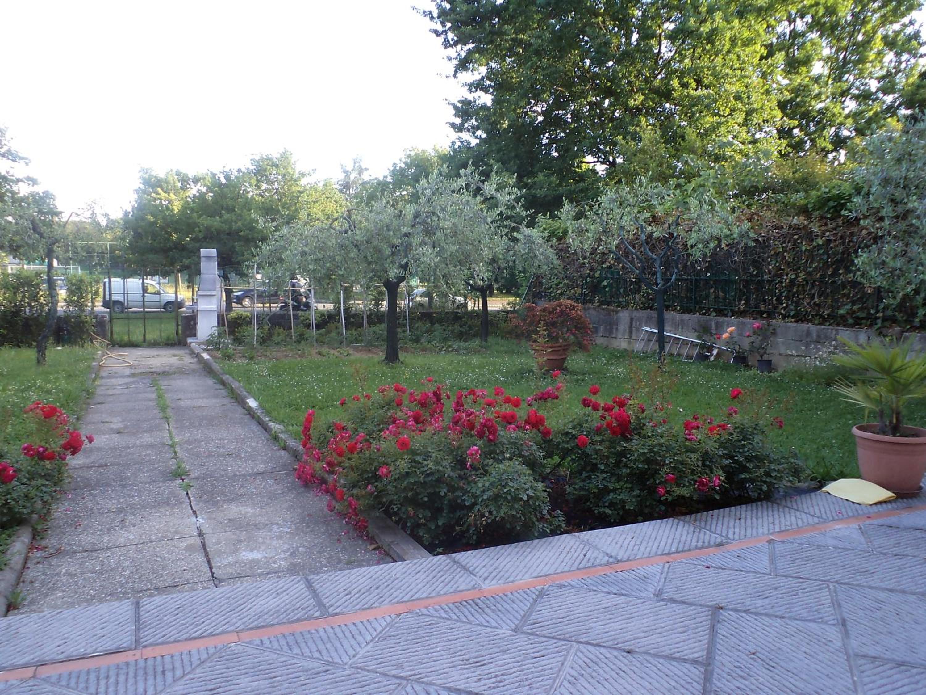 Photo 65