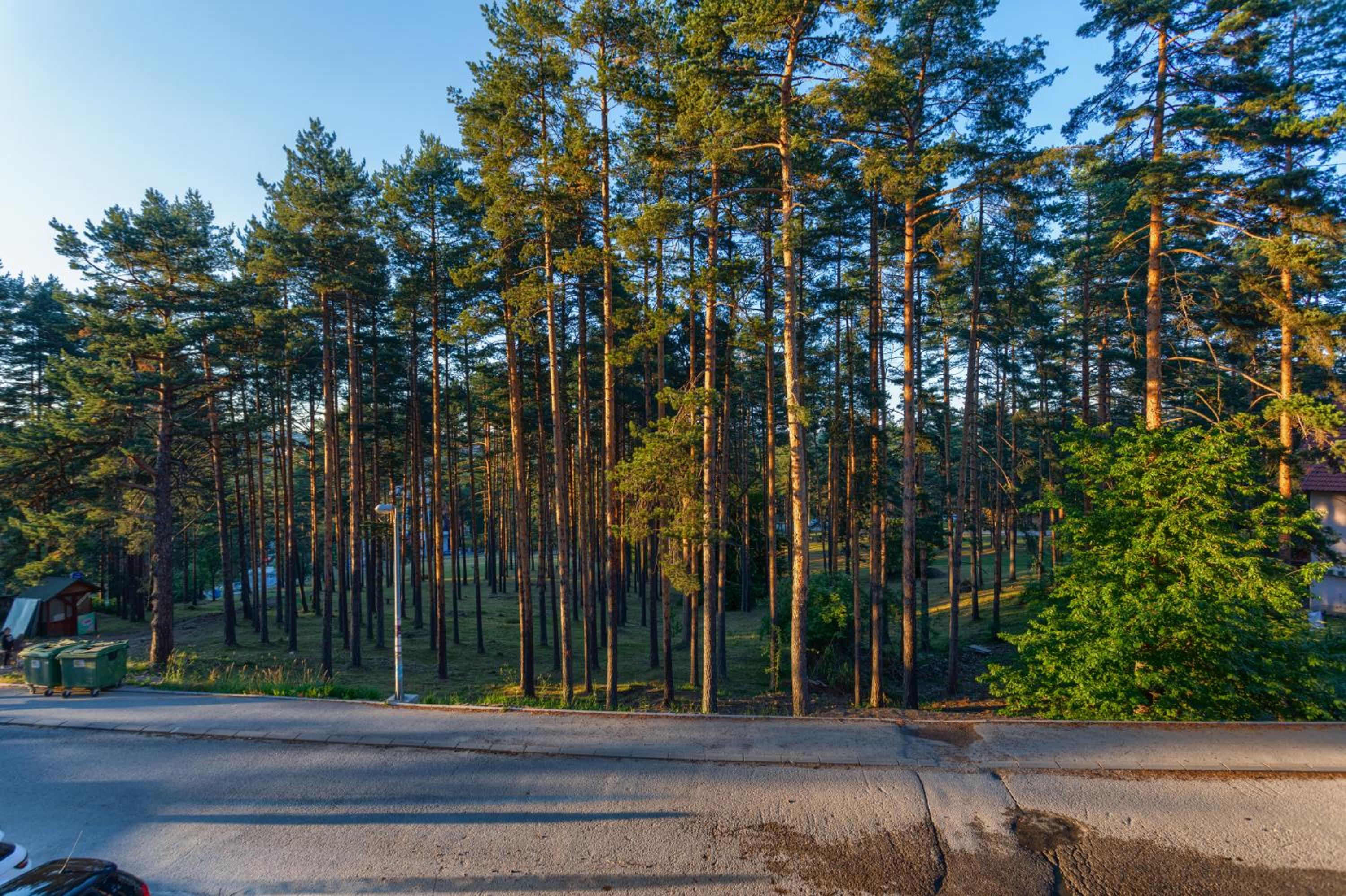 Photo 28