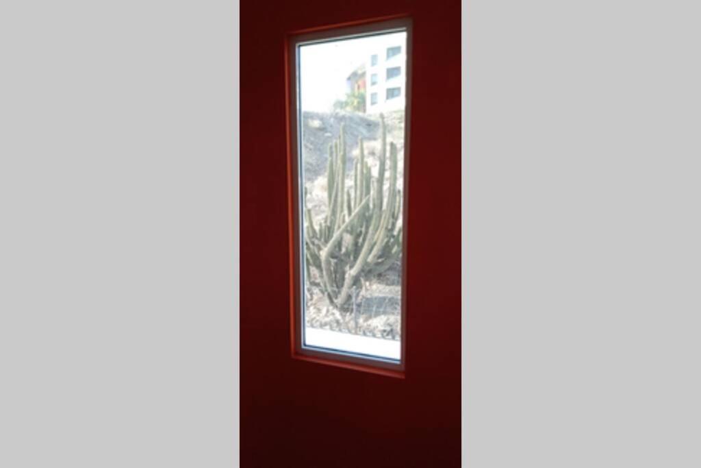 Tacho´s House. Privacidad desde 6 hasta 8 personas view 4