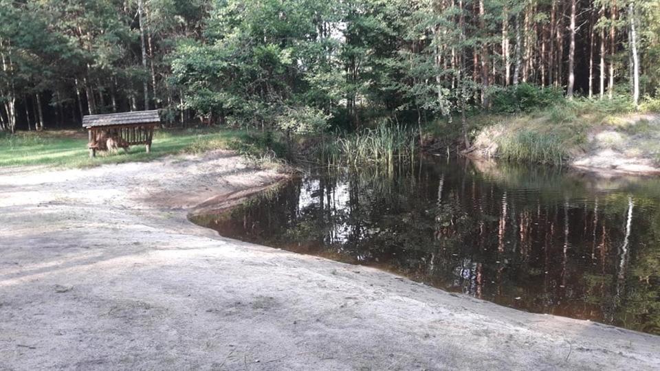 Photo 25