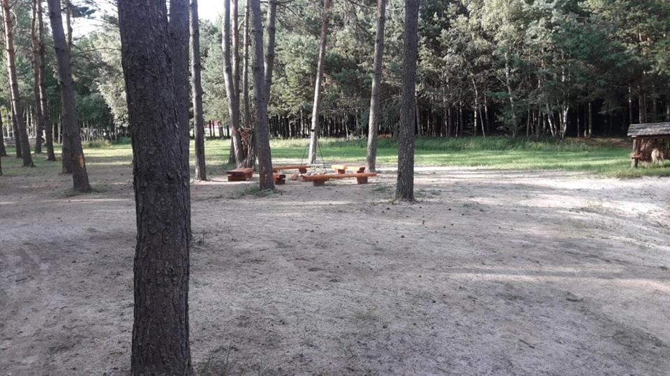 Photo 26