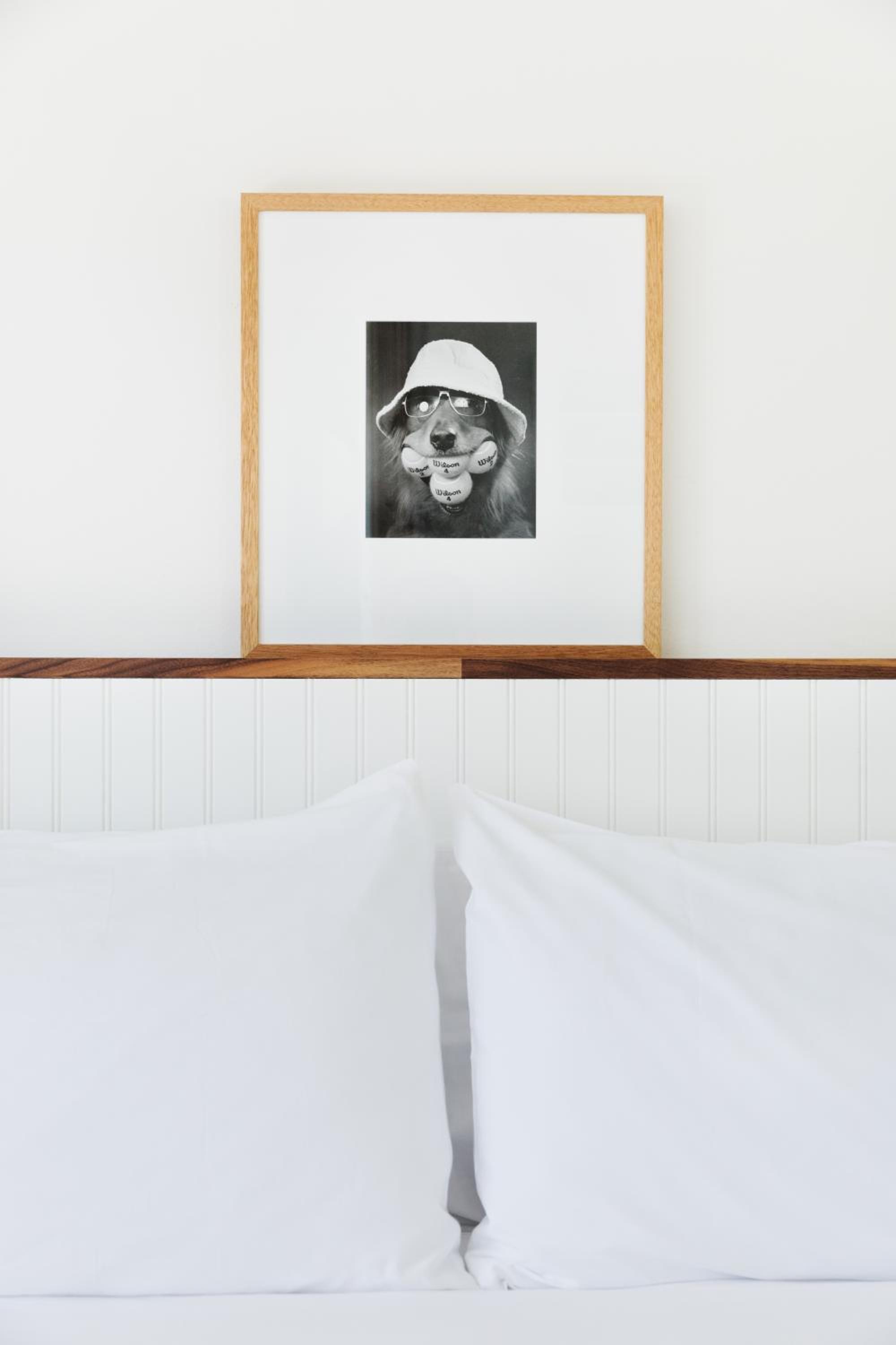 Hotel June Malibu - Property Image 54