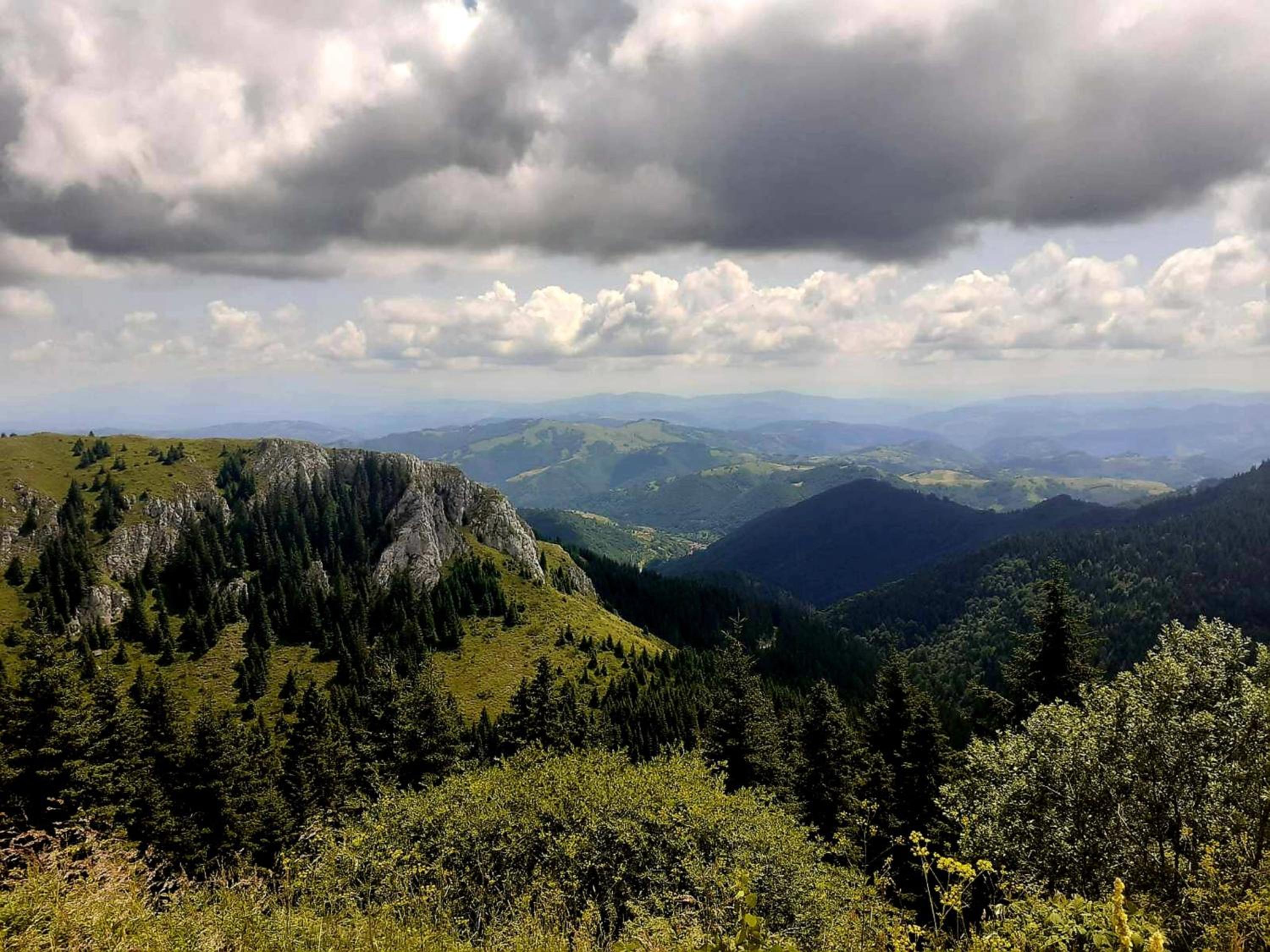 Apartman NERA - u Kraljevim čardacima Kopaonik