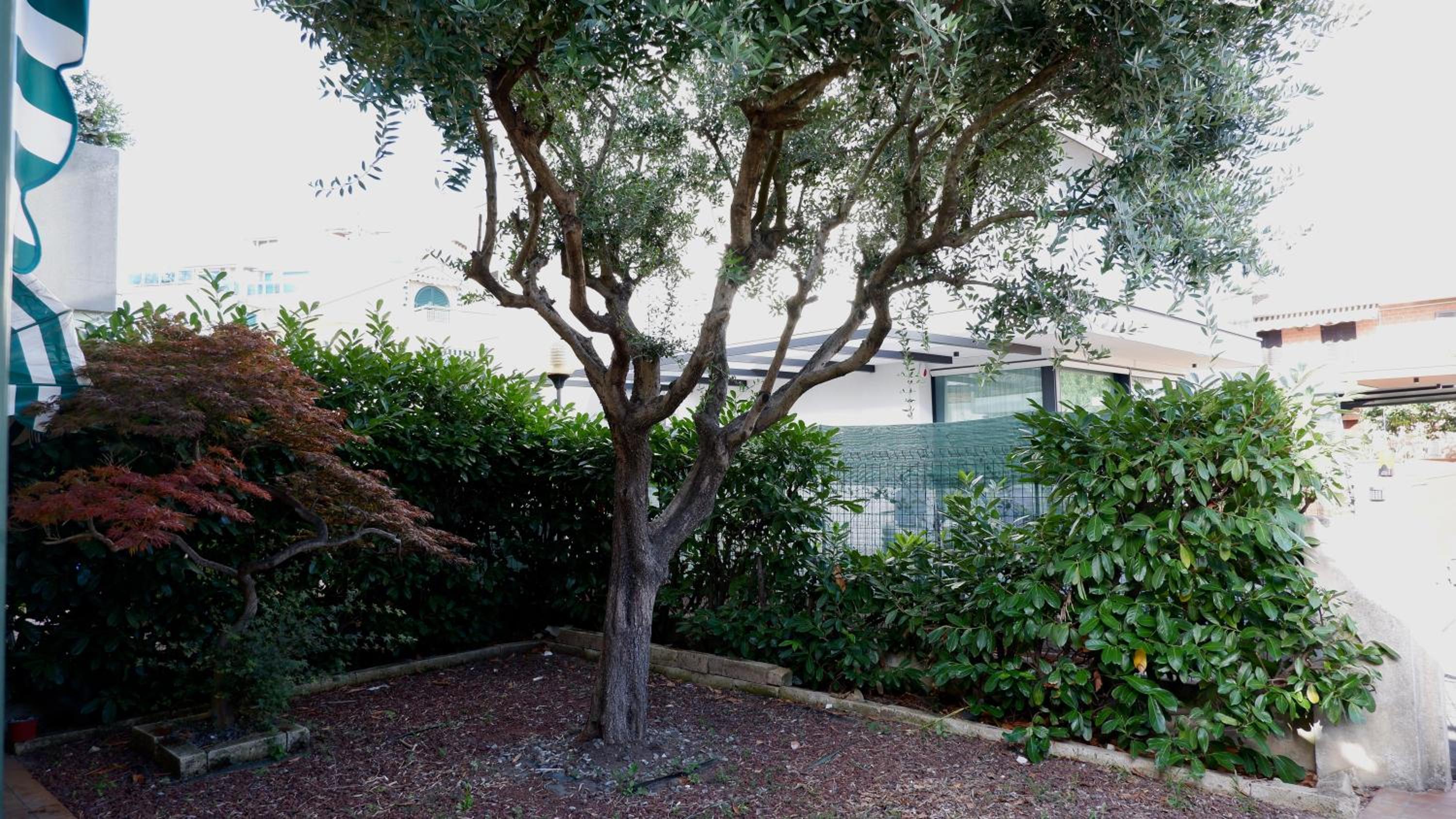 App4rent - Appartamento Equilio - pet friendly - giardino esclusivo photo 4
