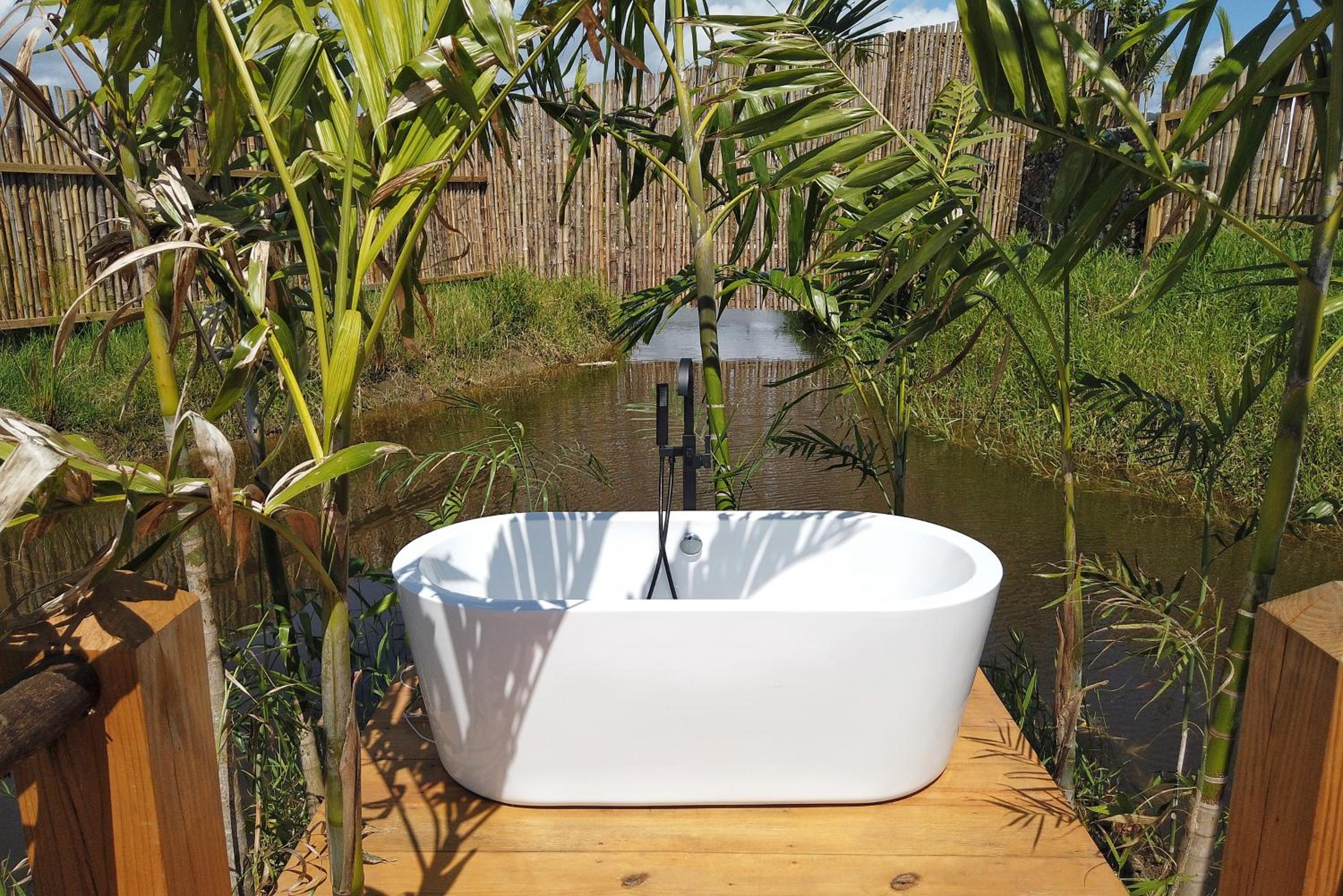 Green Land Bubble Glamping view 2