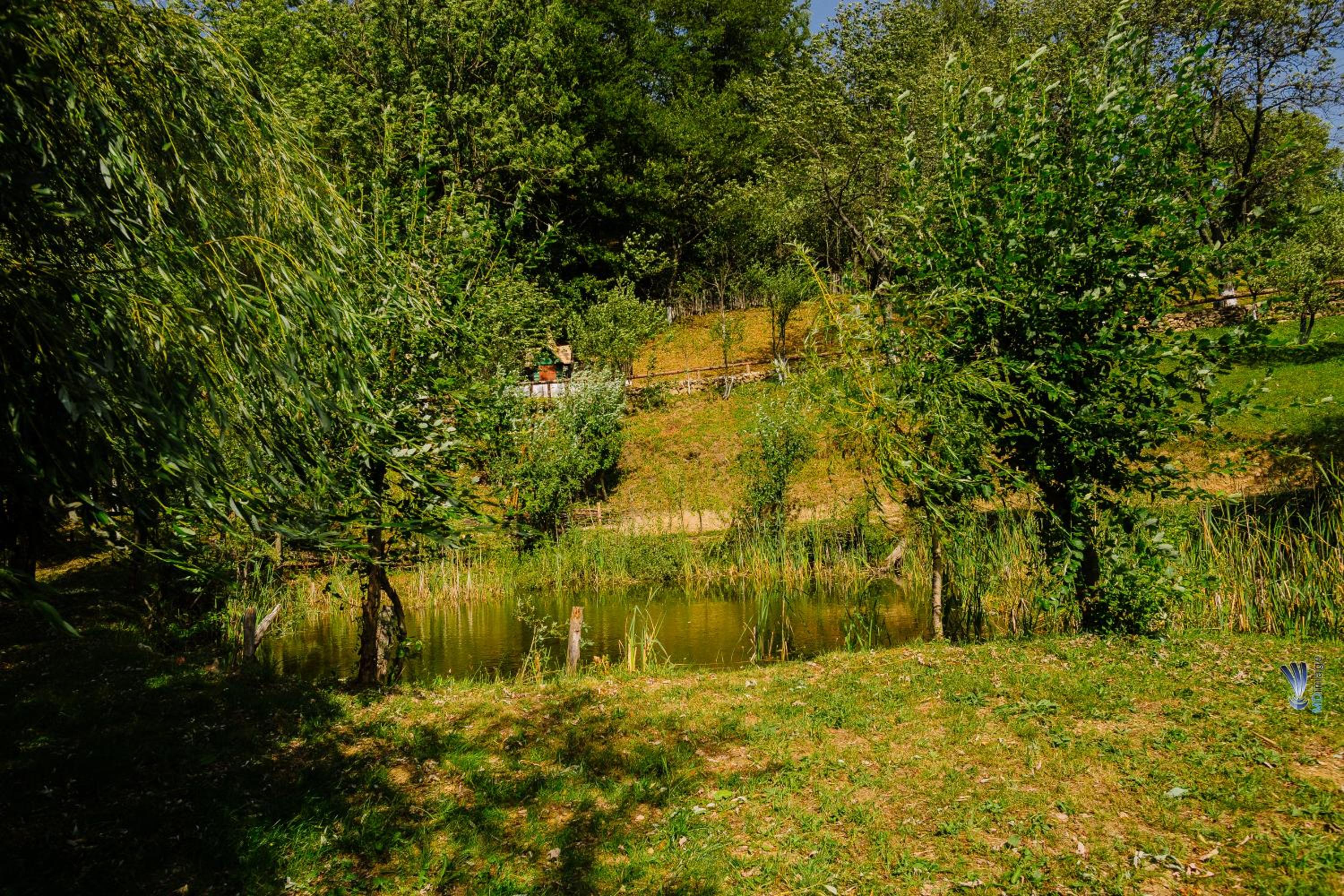 Photo 24