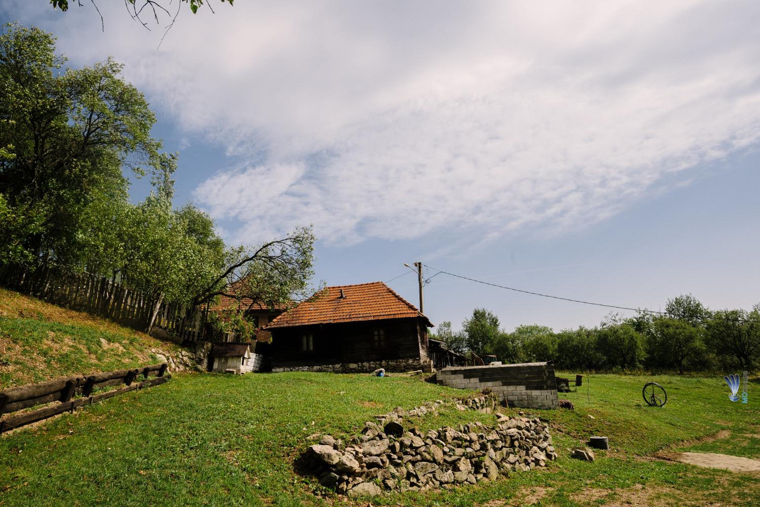 Photo 28