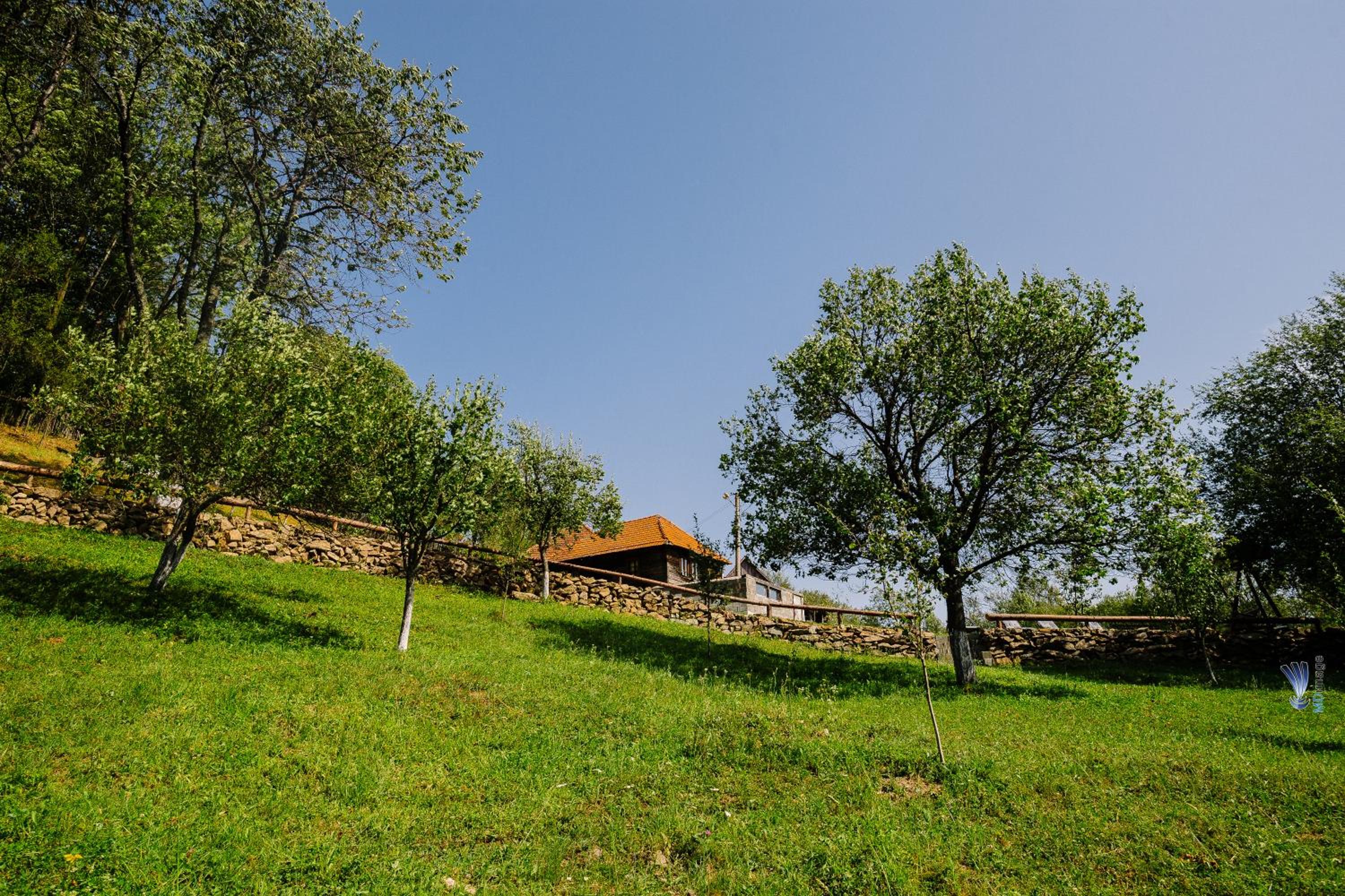 Photo 40