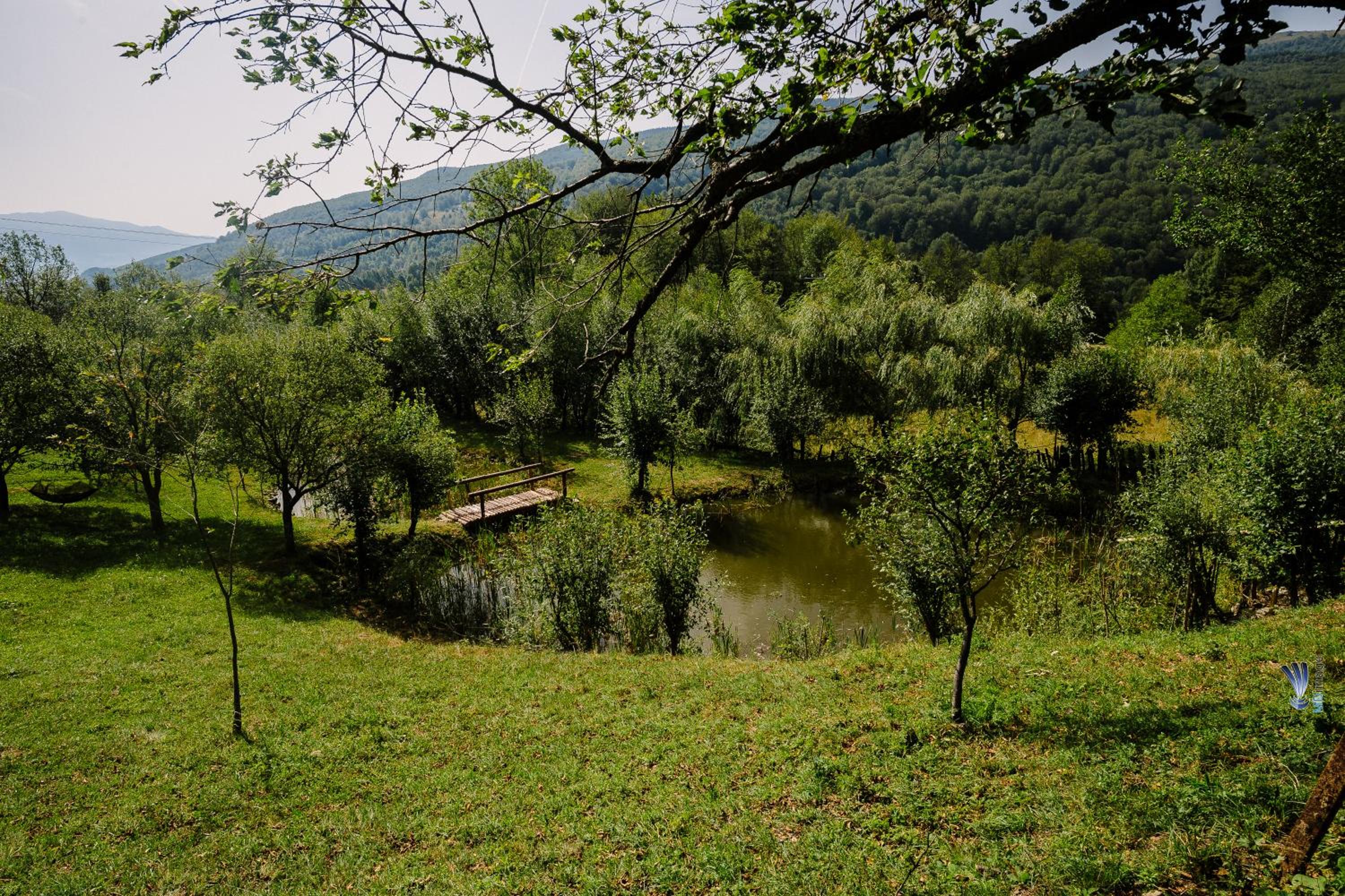 Photo 42