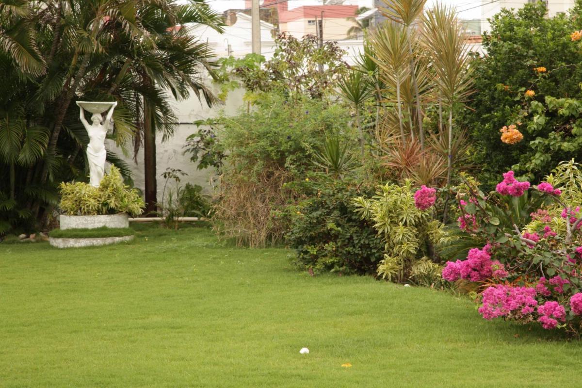 garden
