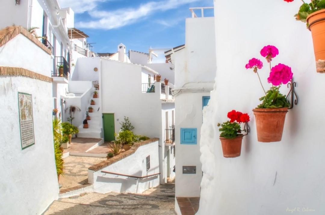 Apartamento en Frigiliana photo 5