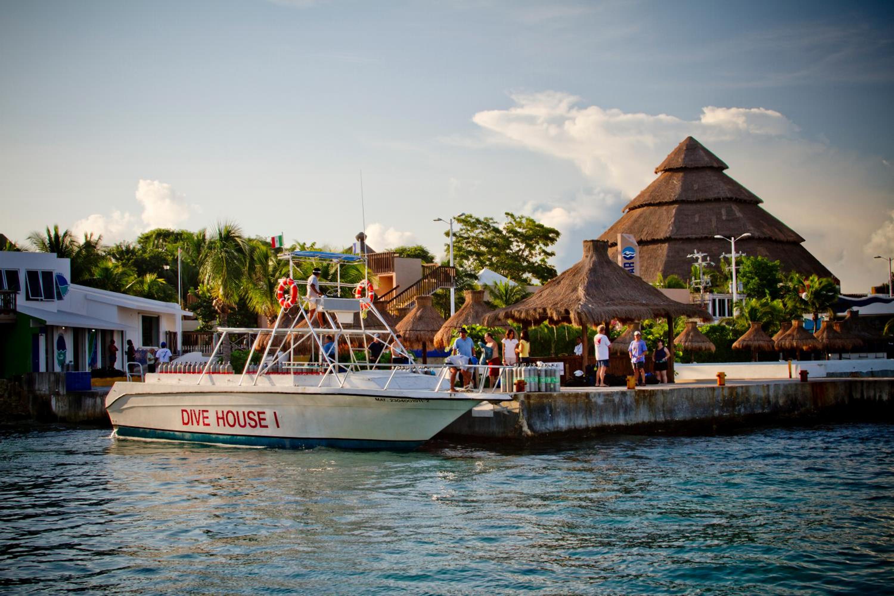 Cozumel Vacations - Casa del Mar Cozumel Hotel  Dive Resort - Property Image 2