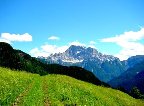 Photo 45