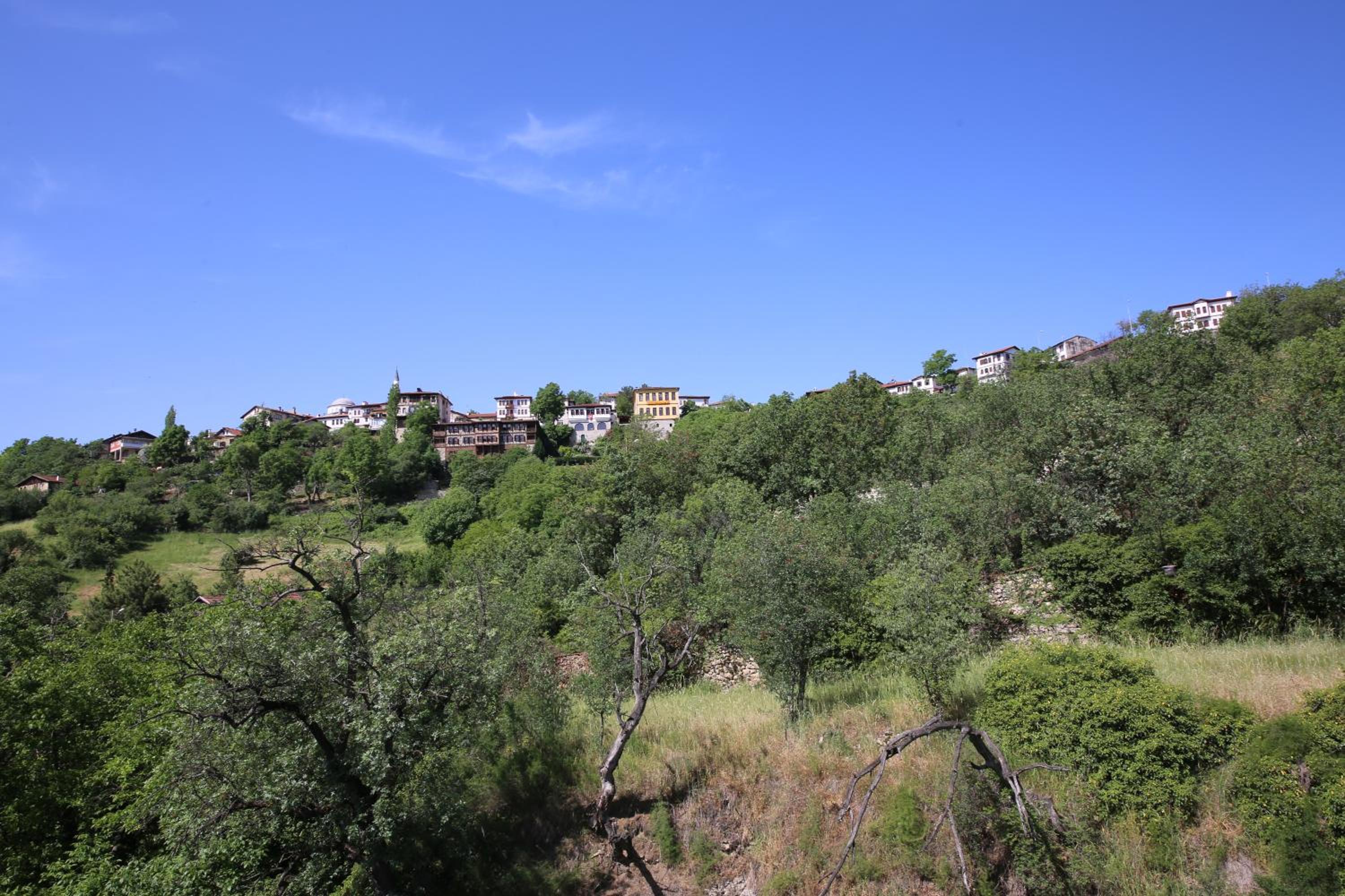 Emiroğlu Konak Otel, photo 13