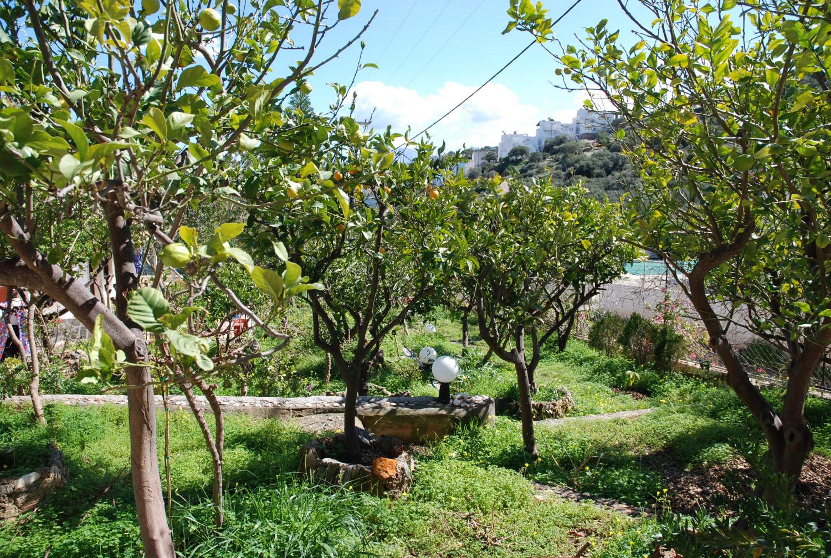 Ideal place for family near the beach with garden view 4