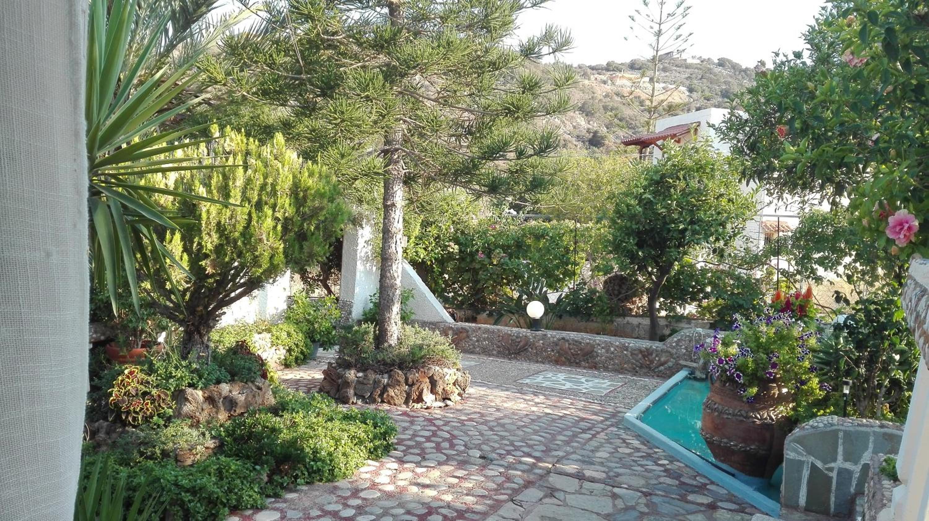 Photo 6