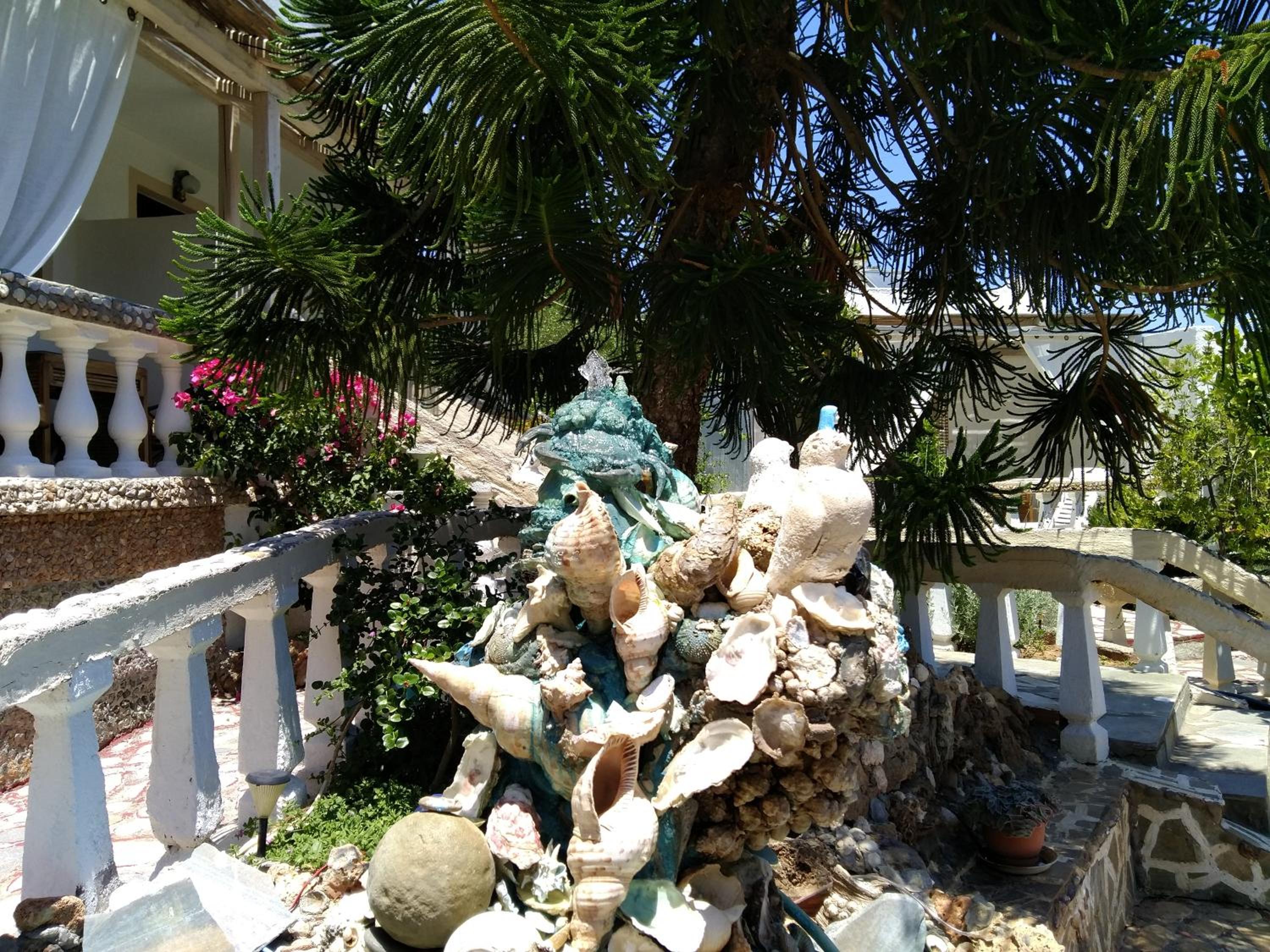 Photo 13