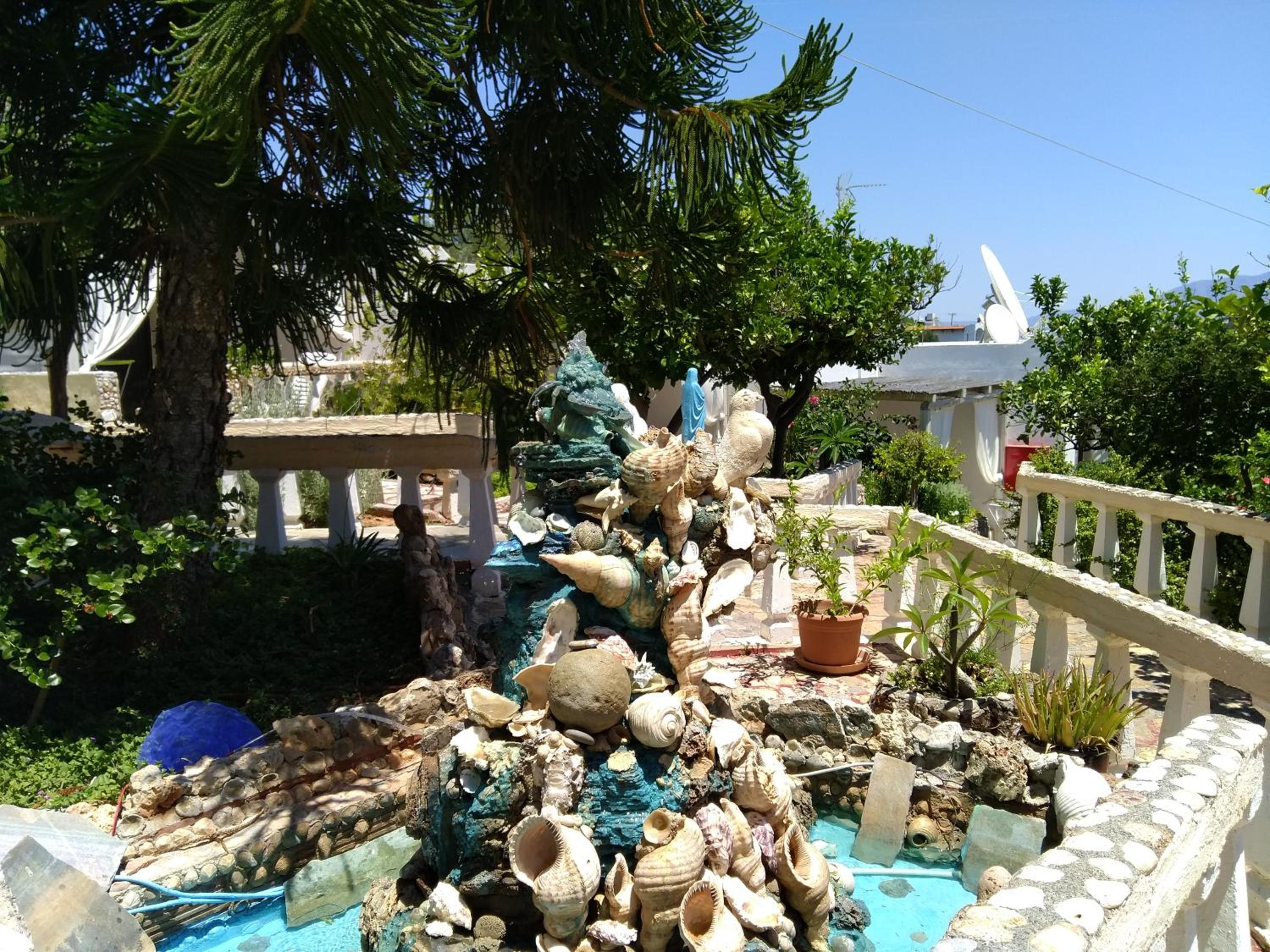 Photo 12