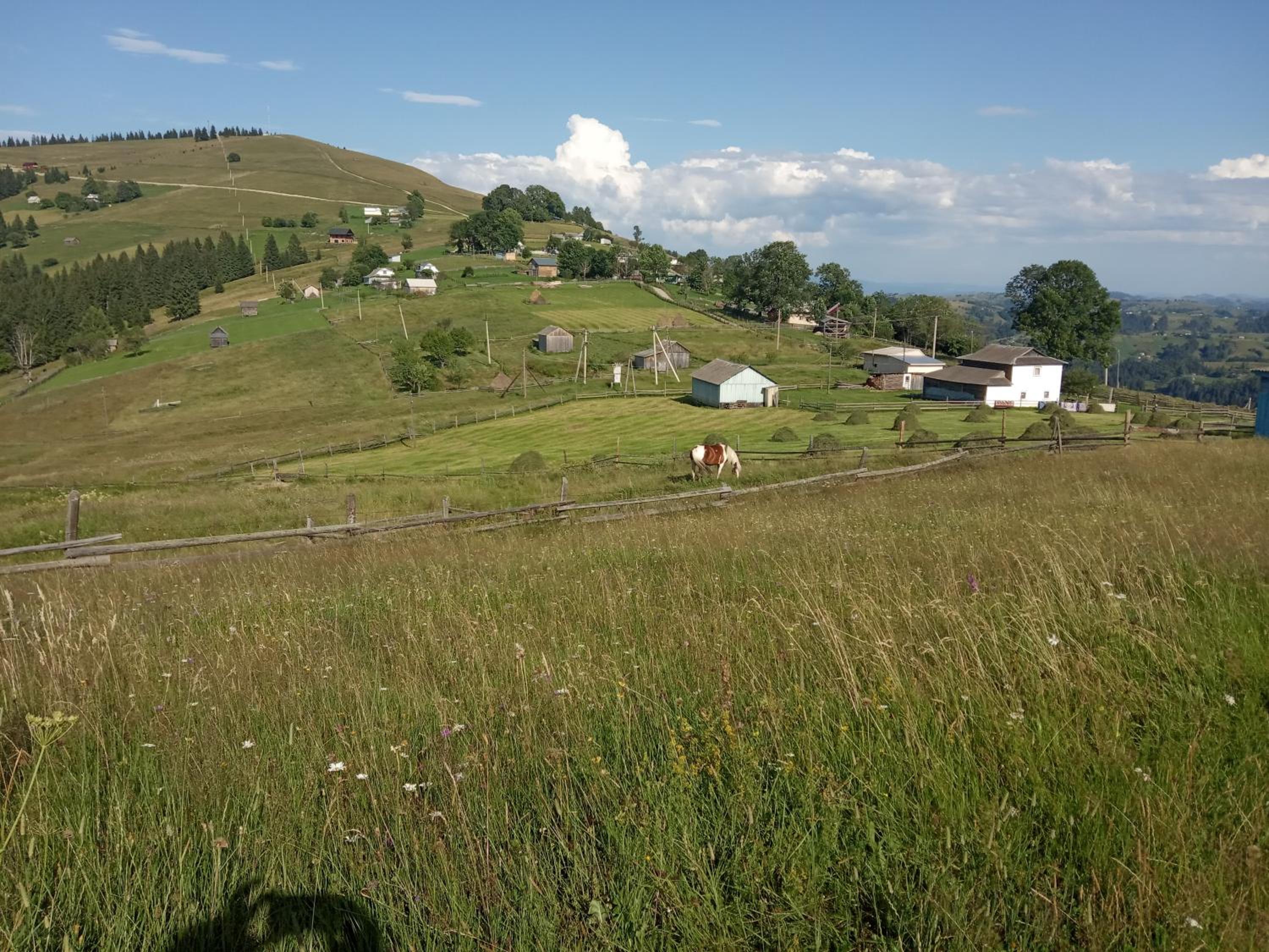 Photo 32