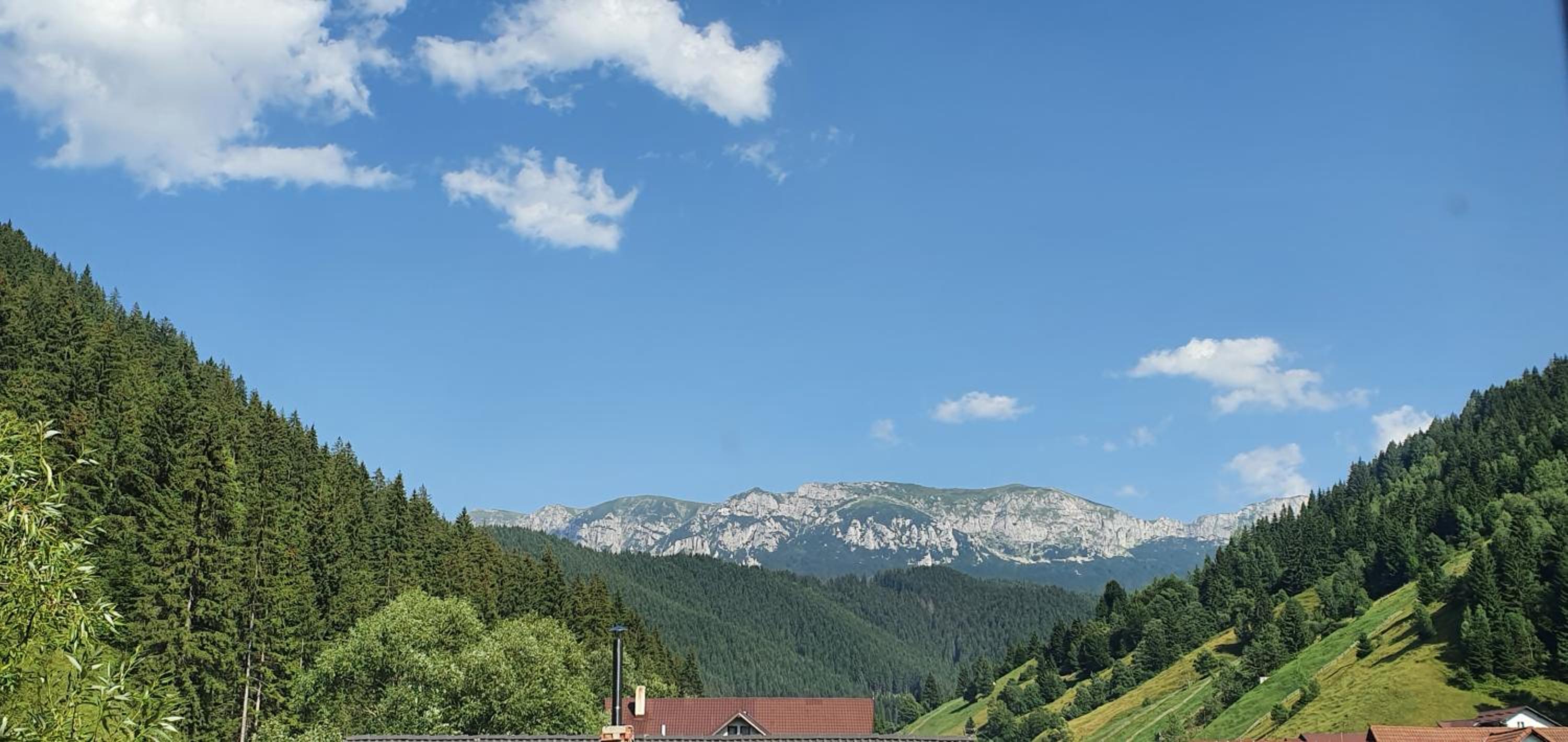 ALEGRIA - MOIECIU DE SUS view 5