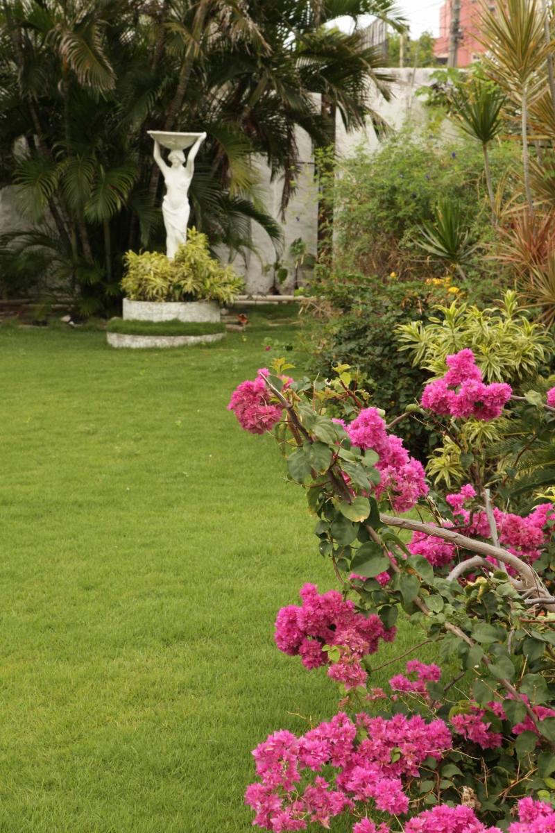 garden