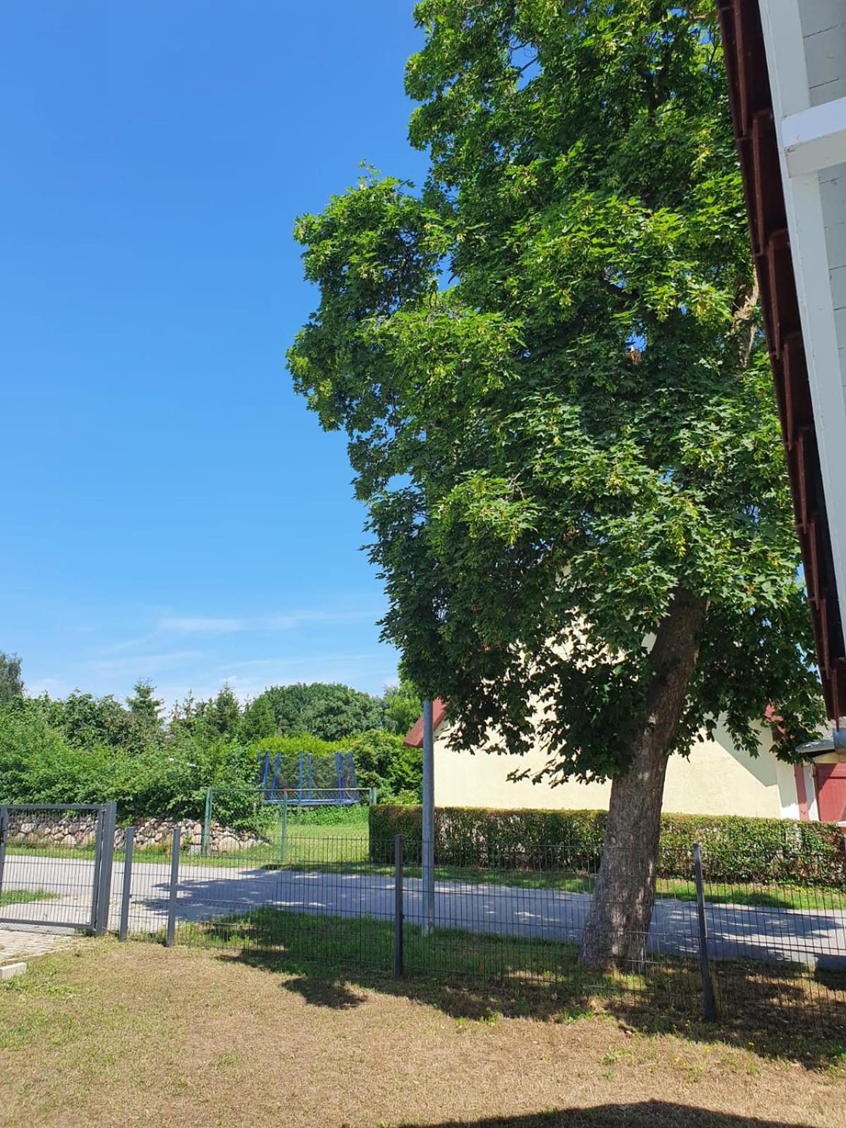 Ferienhaus 2 Achterwasser-Findling Usedom