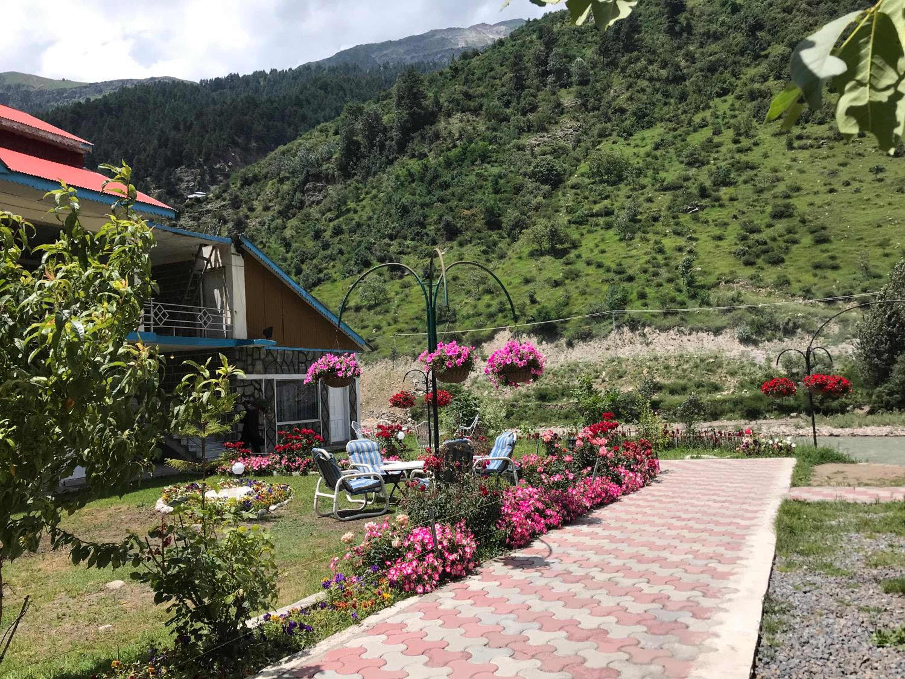 garden