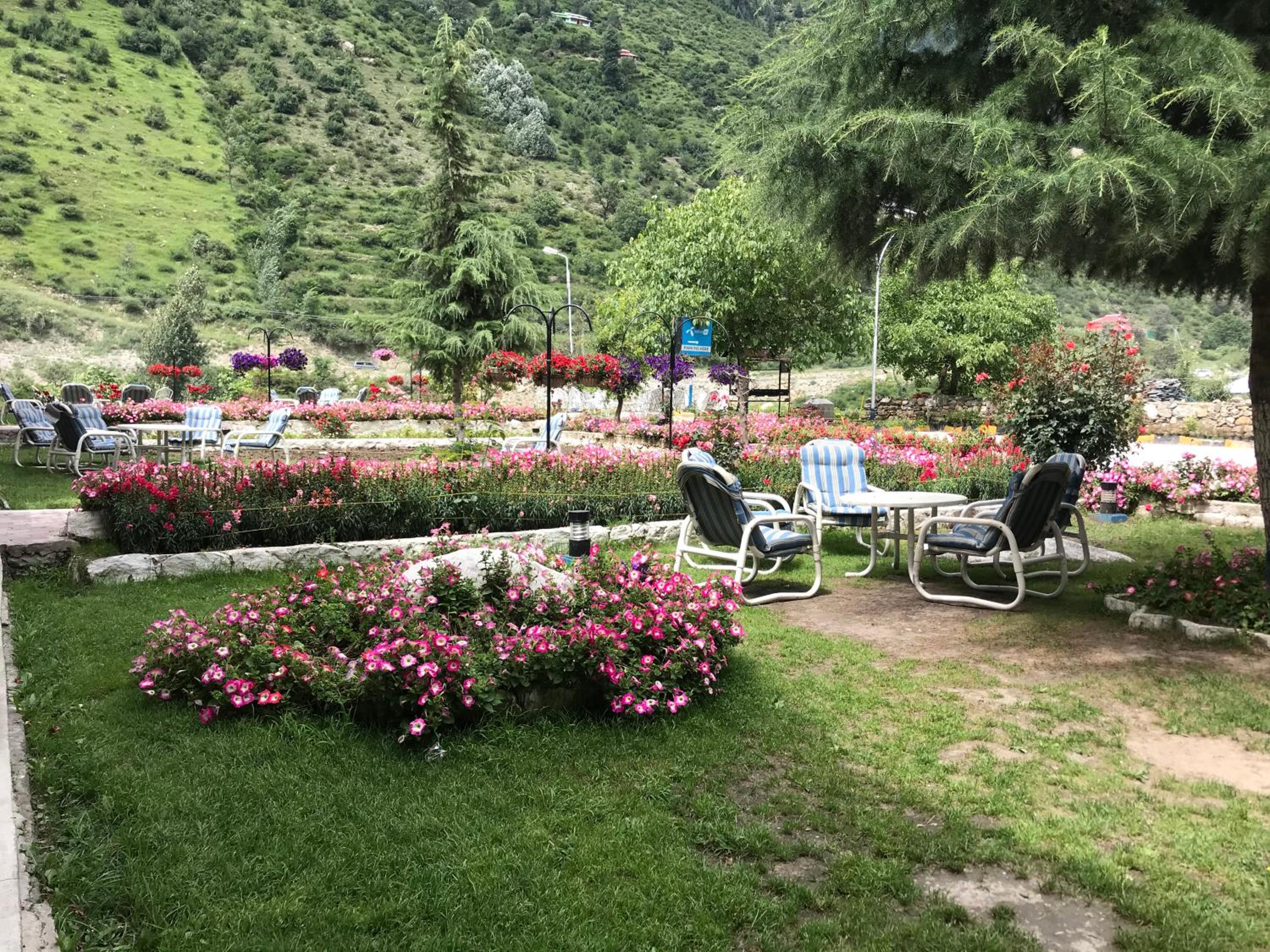 garden