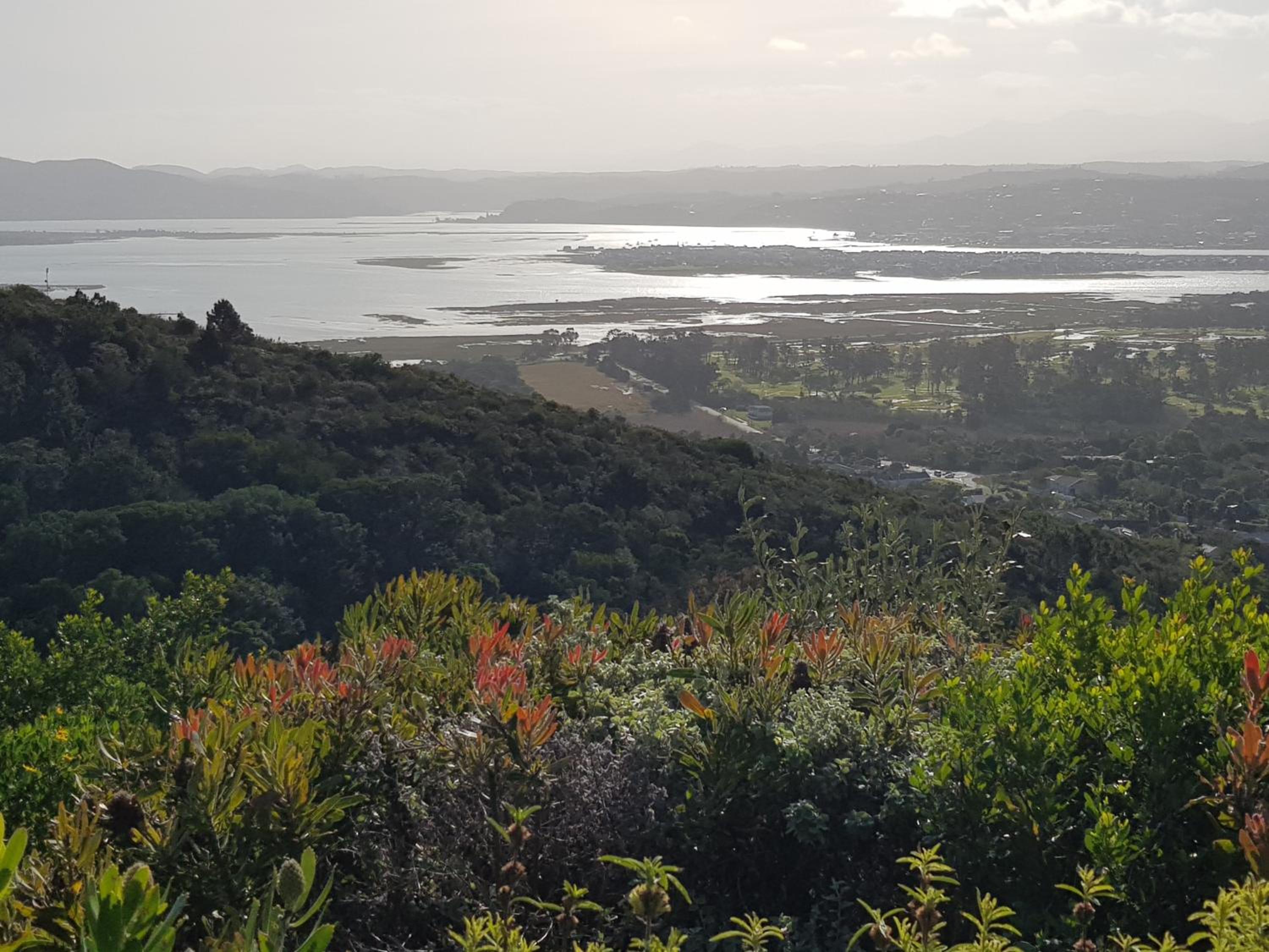 Sosa Lagoon View - Pezula
