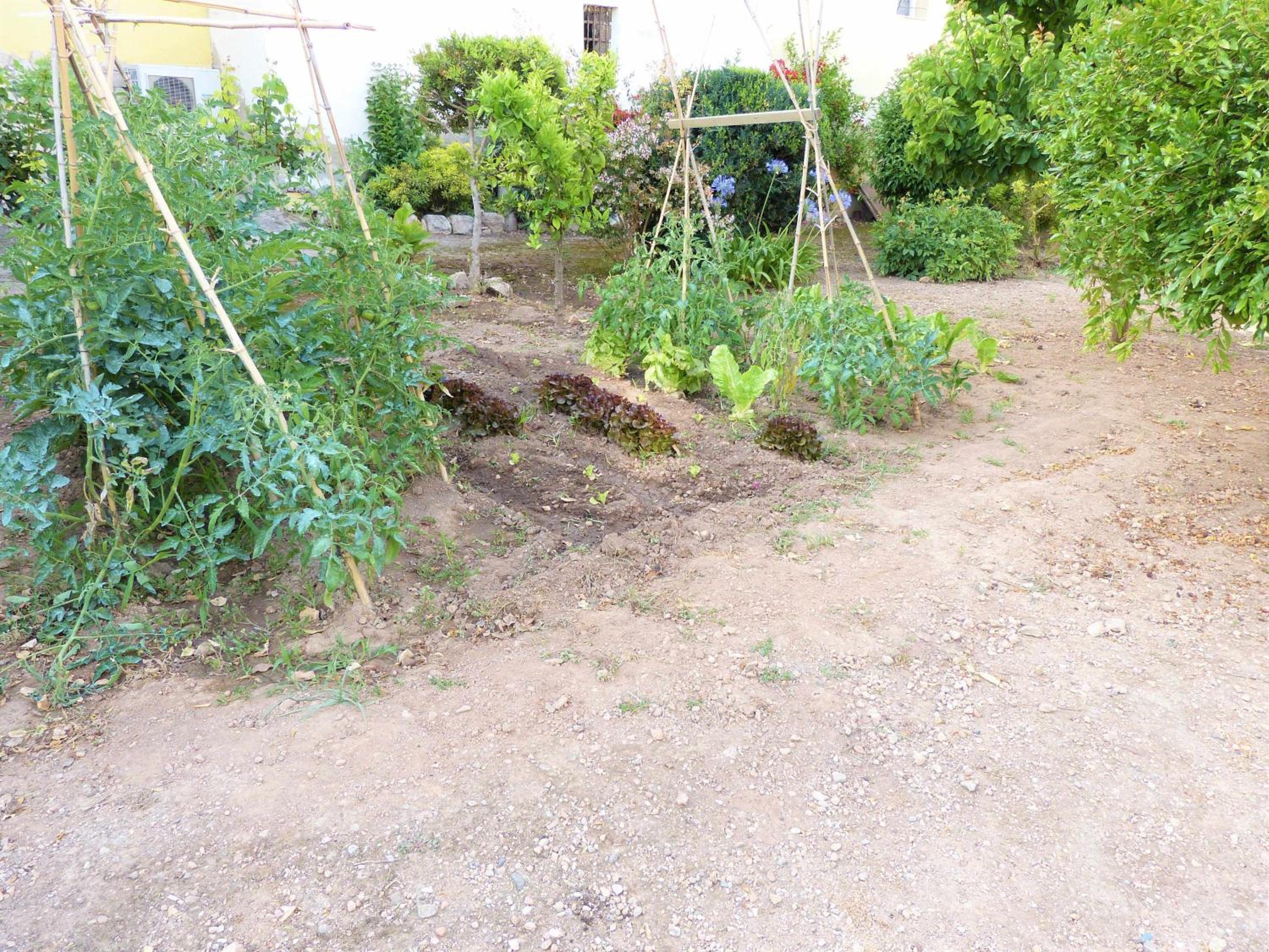 Photo 59