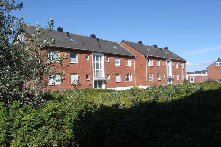App-Monti-Hoernum