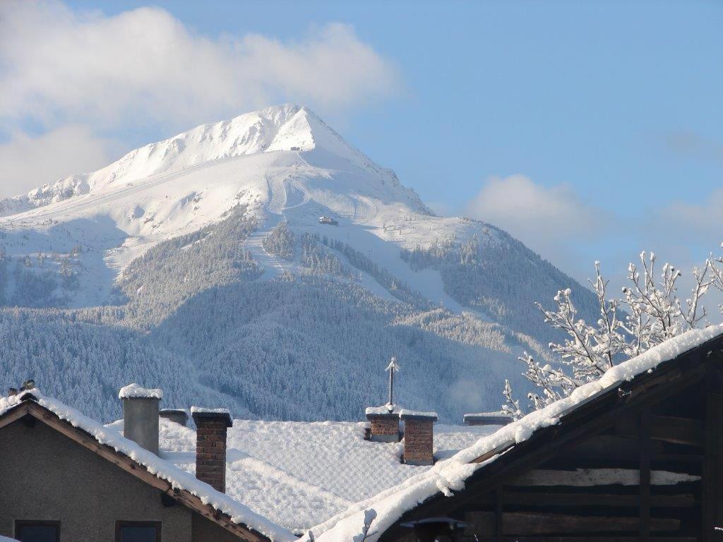 Chalet White Fang