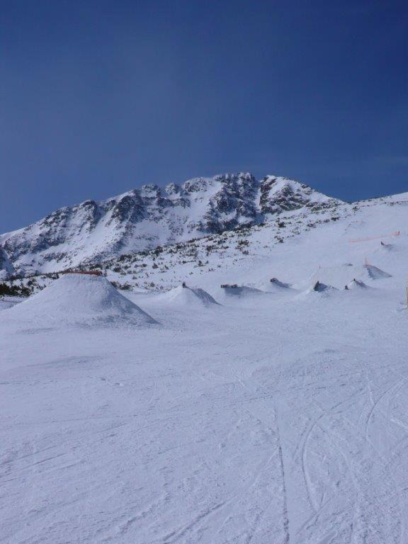 Chalet White Fang