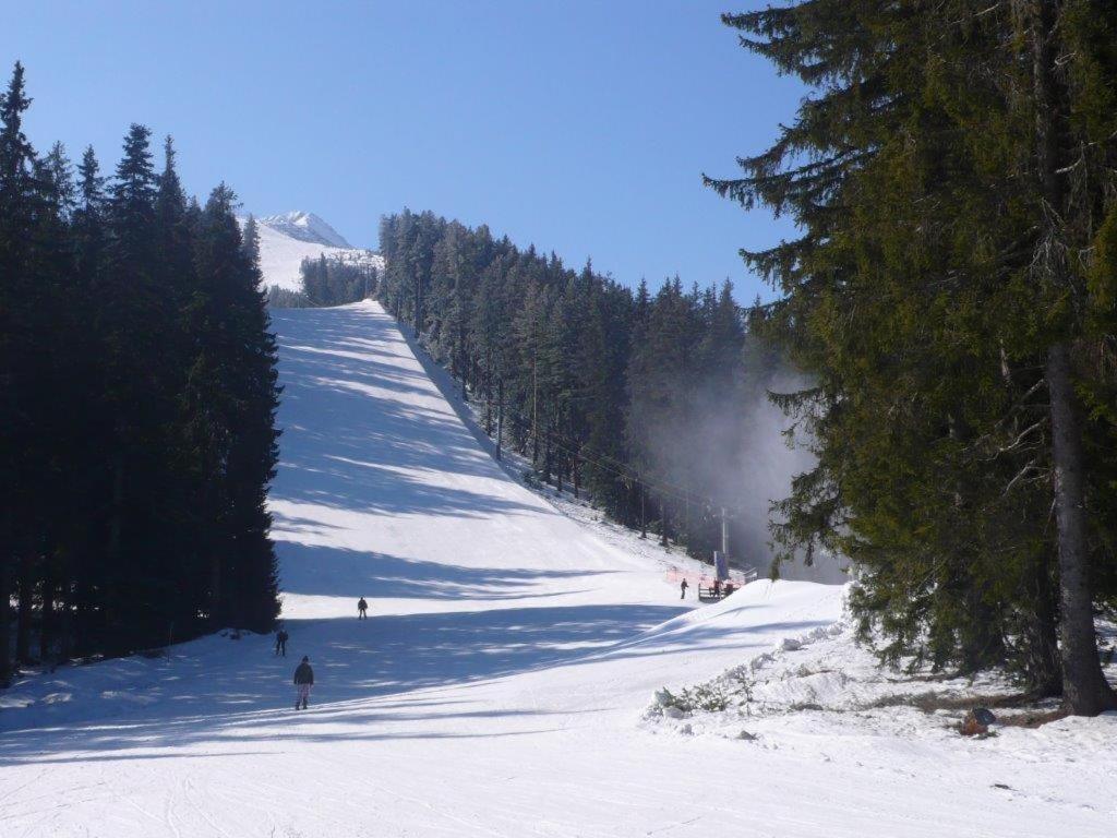 Chalet White Fang