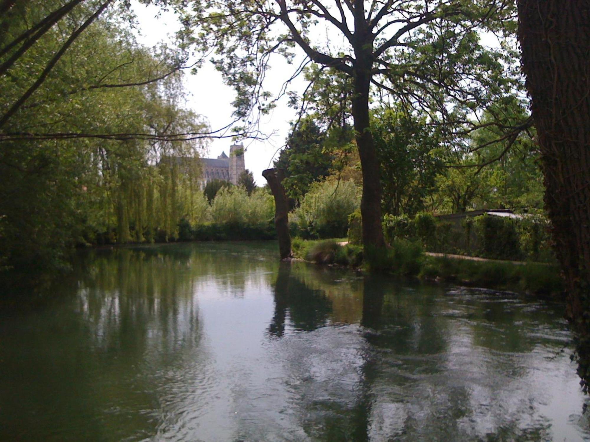 Photo 21