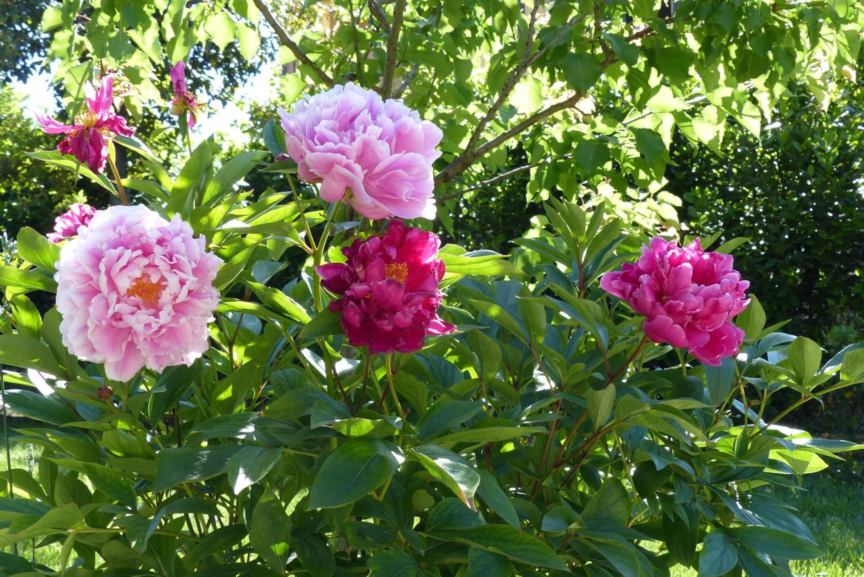 Photo 8