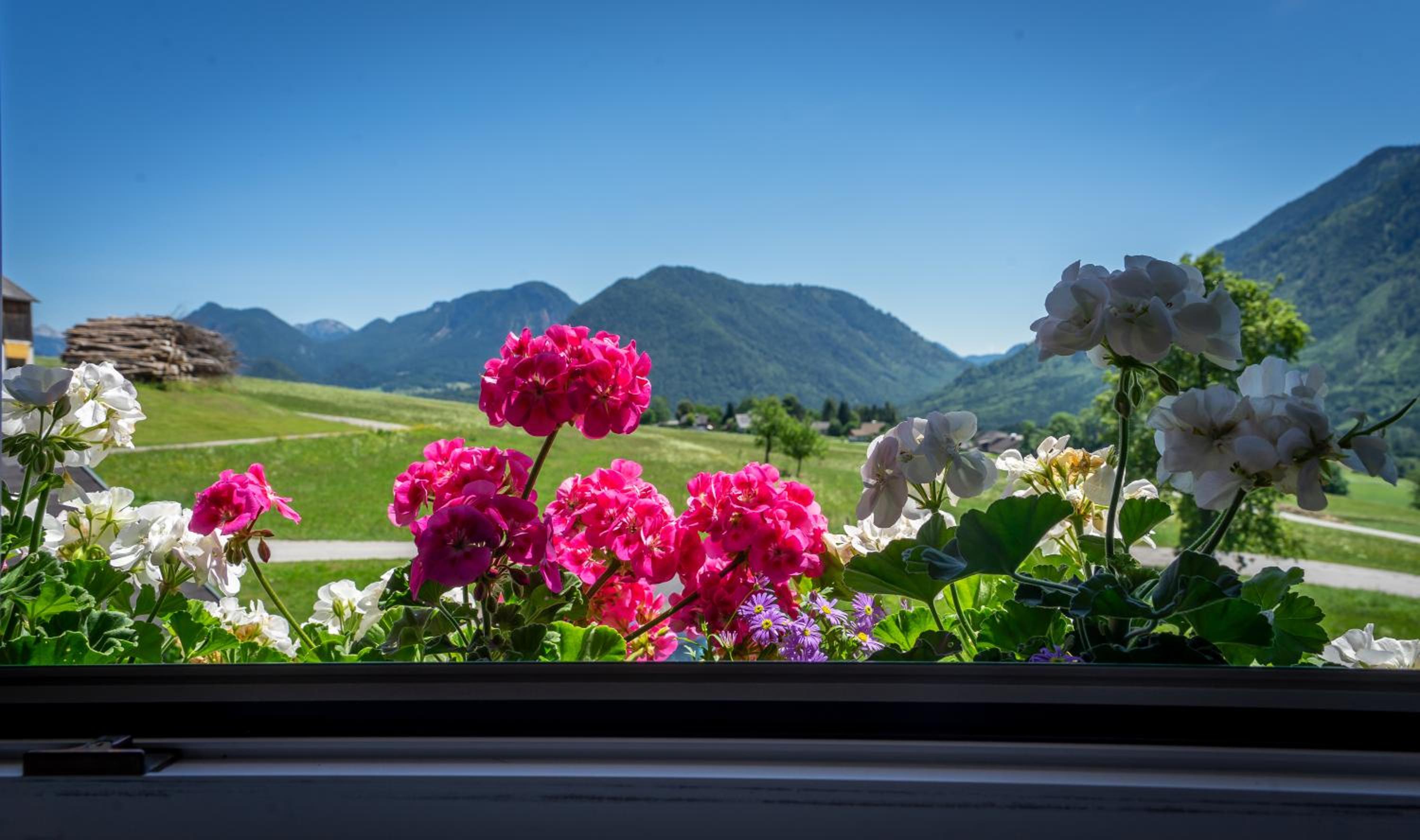 Lovely house with mountain view & big garden in Bad Aussee