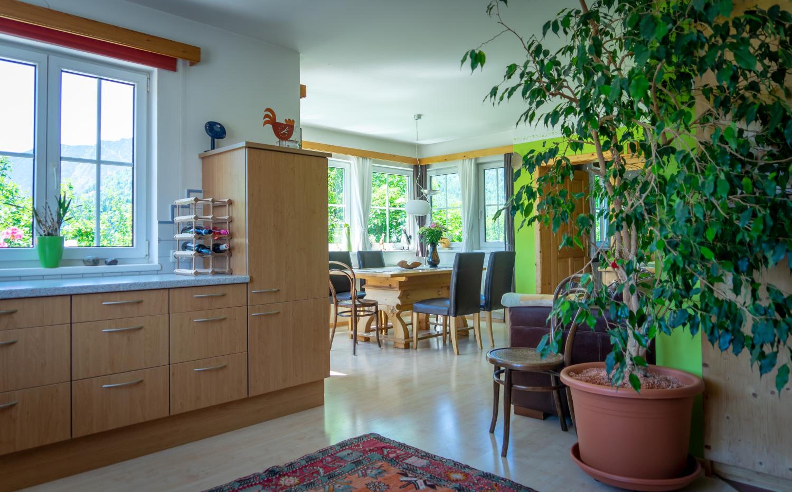 Lovely house with mountain view & big garden in Bad Aussee