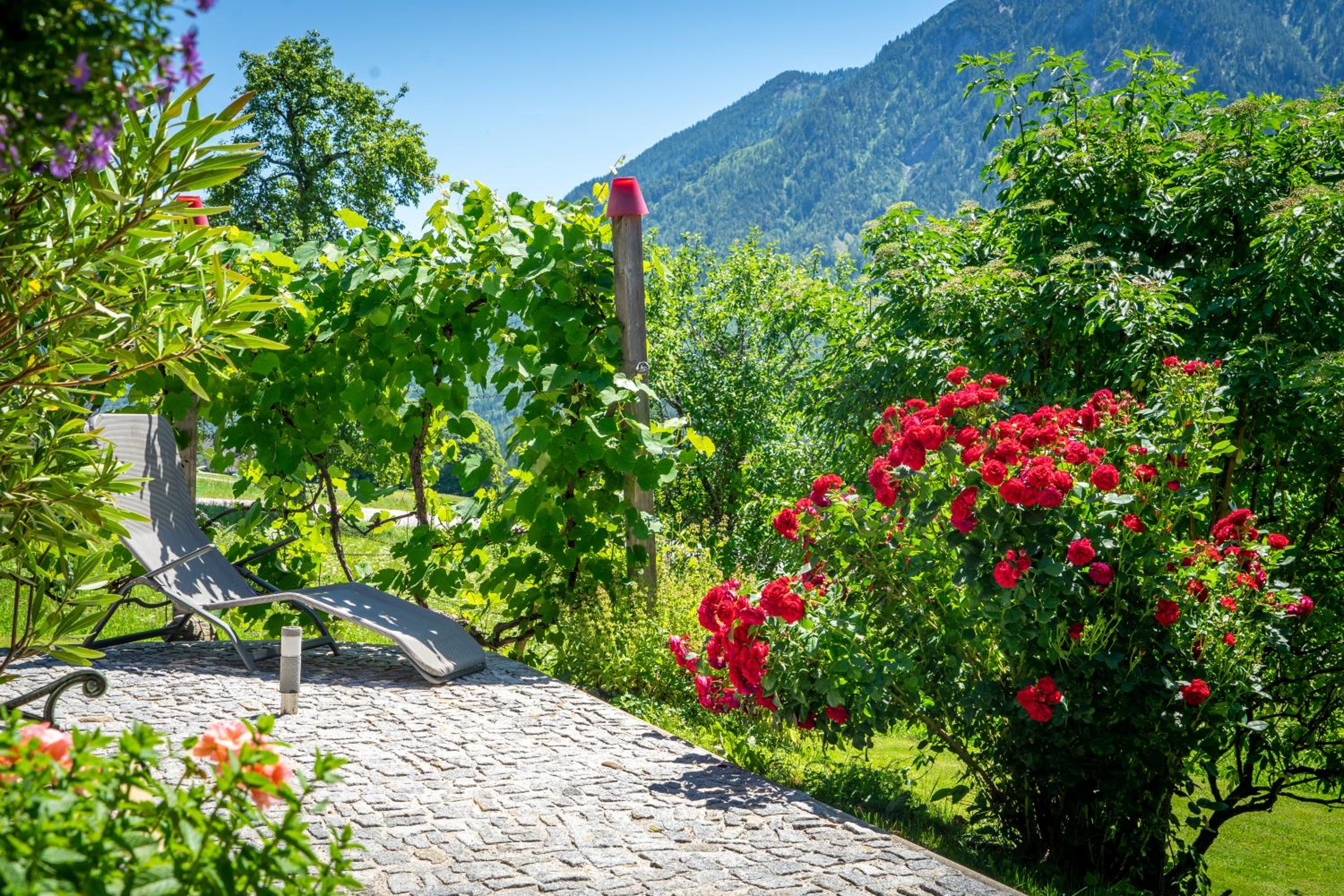 Lovely house with mountain view & big garden in Bad Aussee