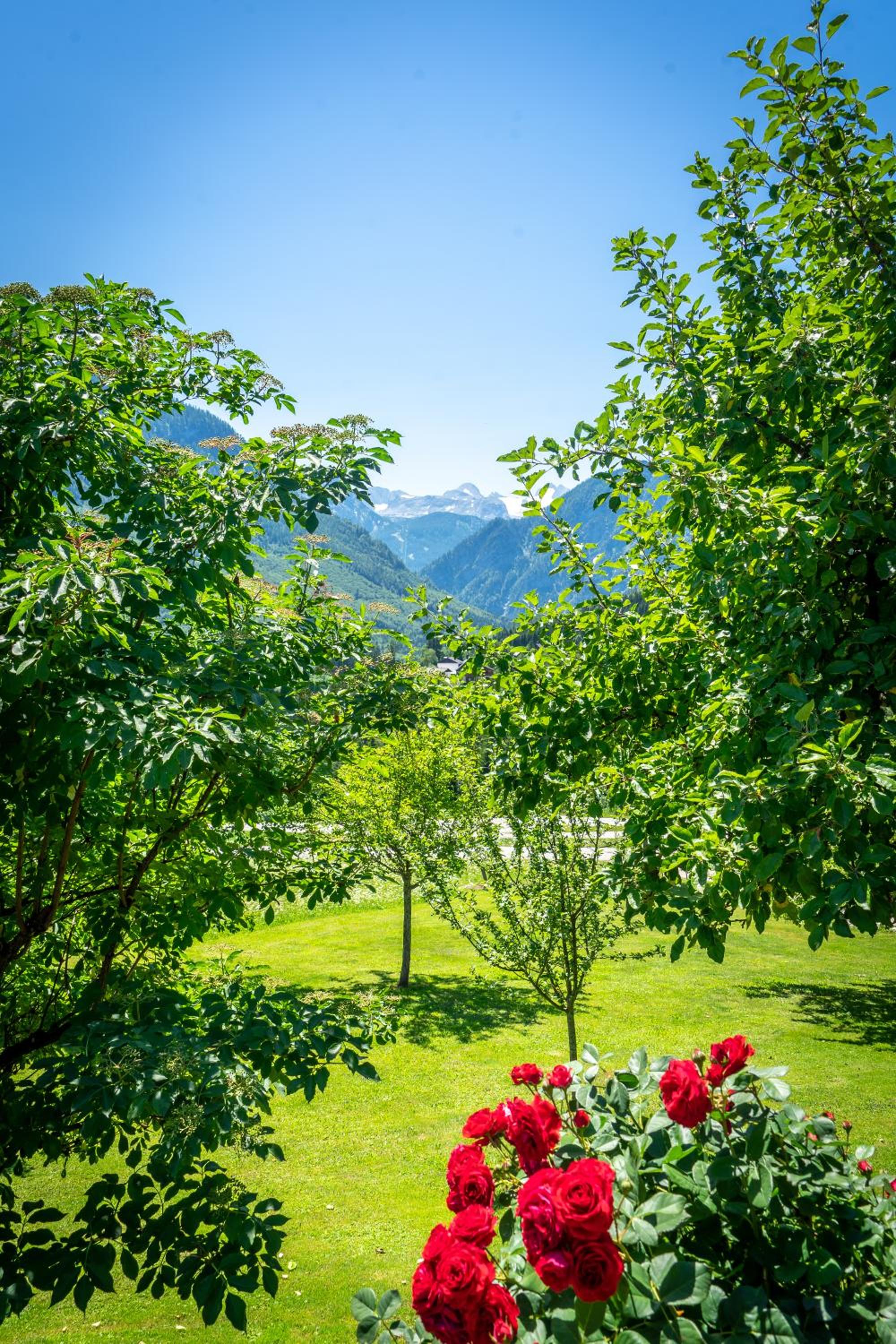 Lovely house with mountain view & big garden in Bad Aussee
