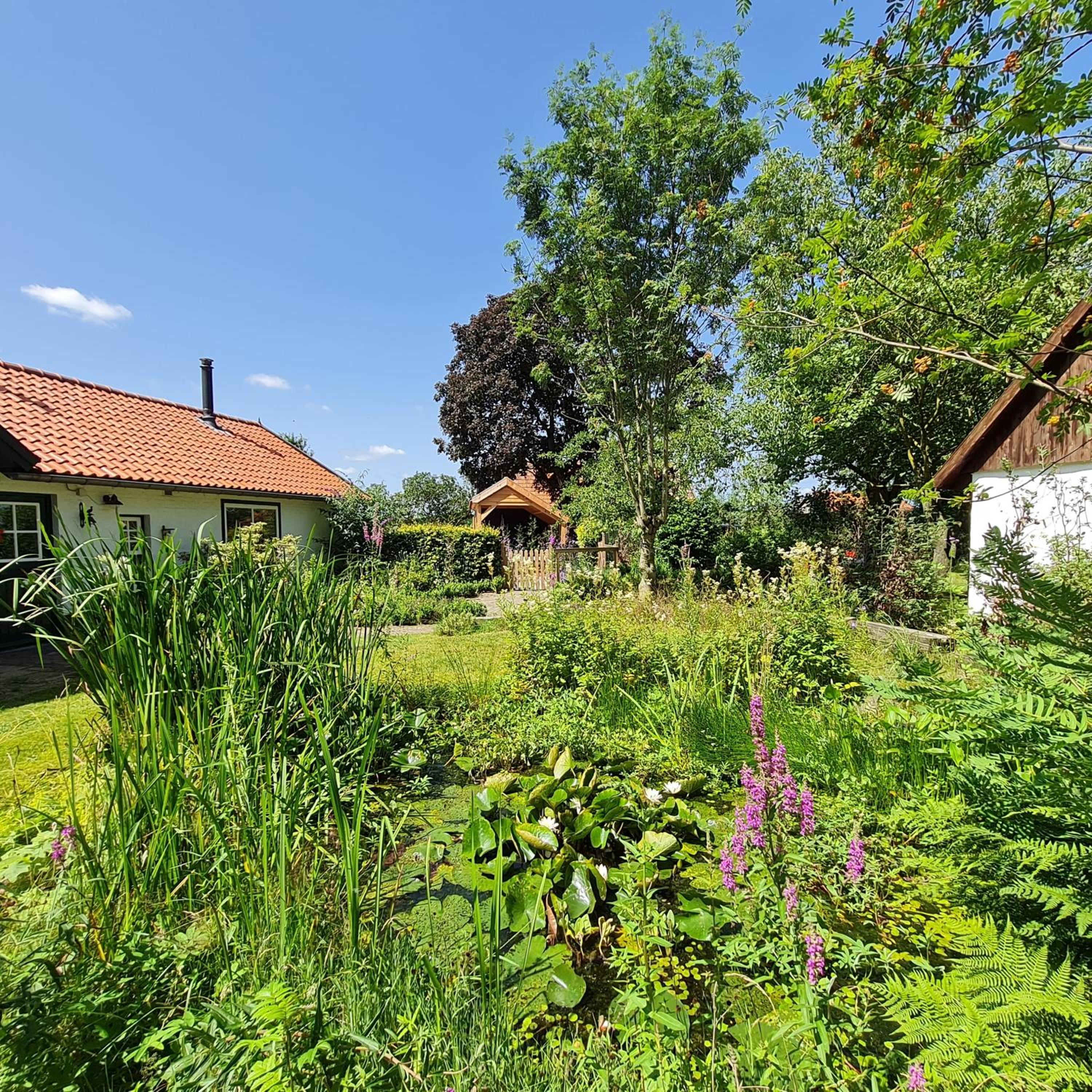 Photo 42