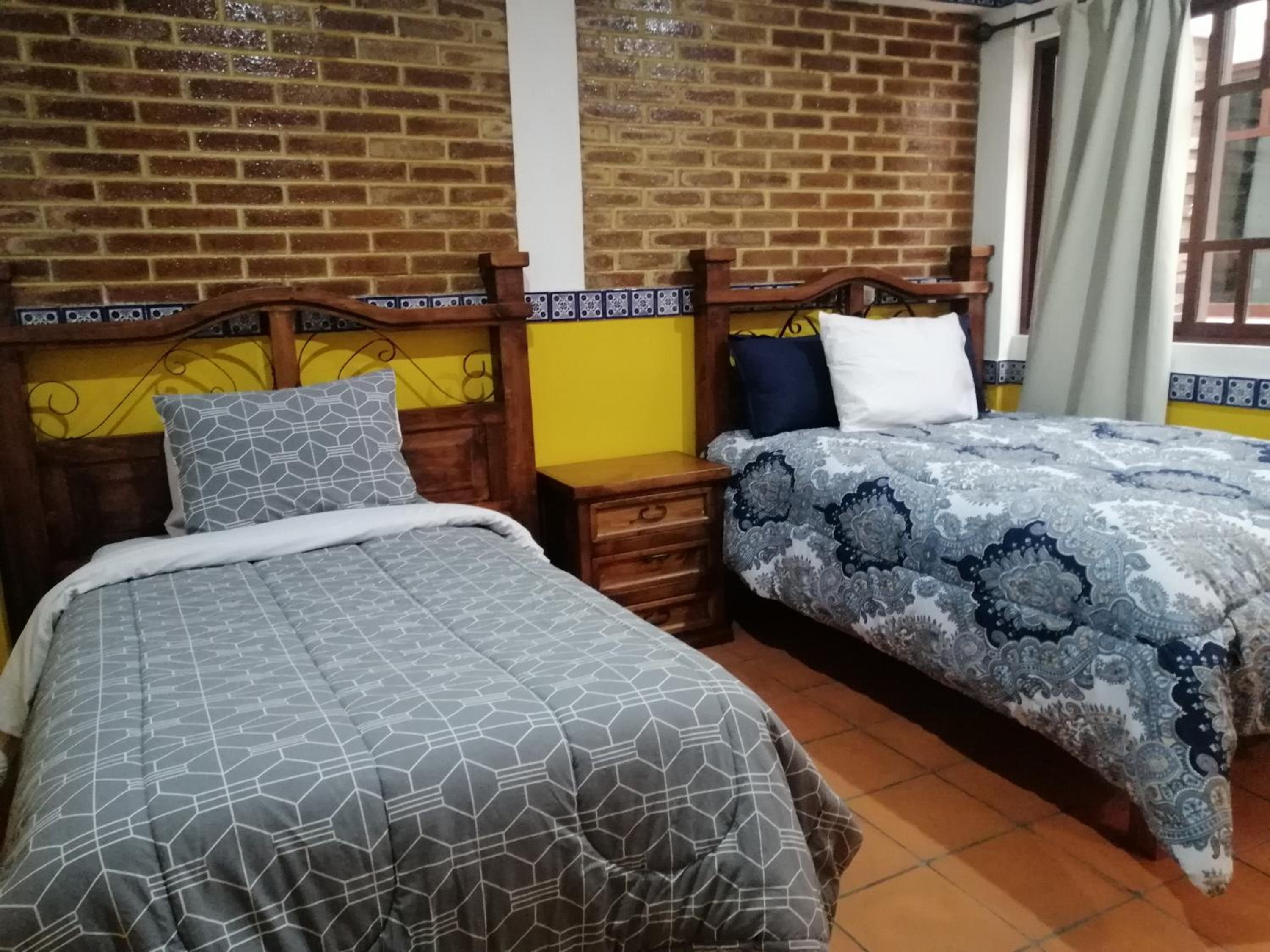 Hotel Y Suites Axolotl