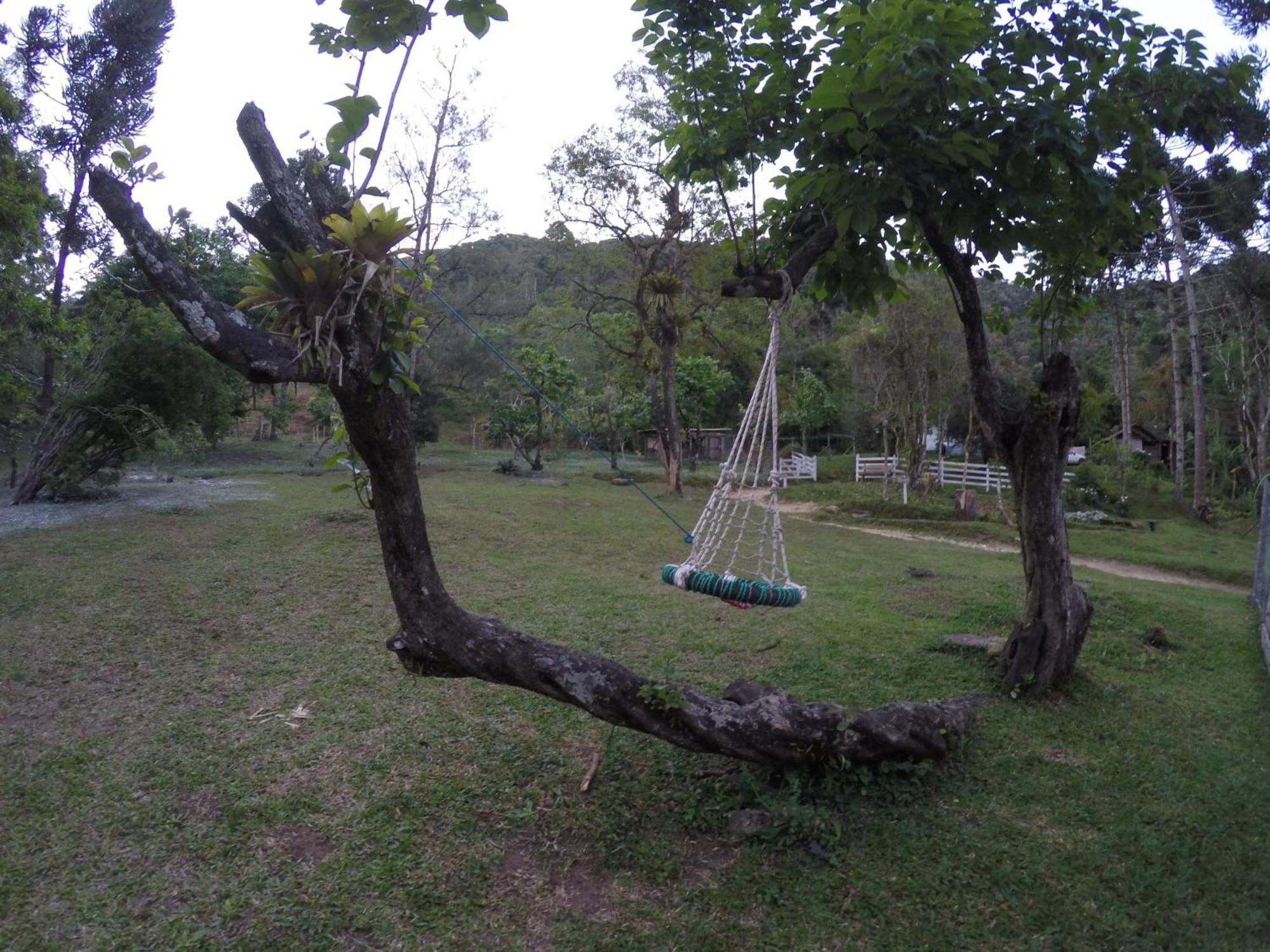 Photo 46