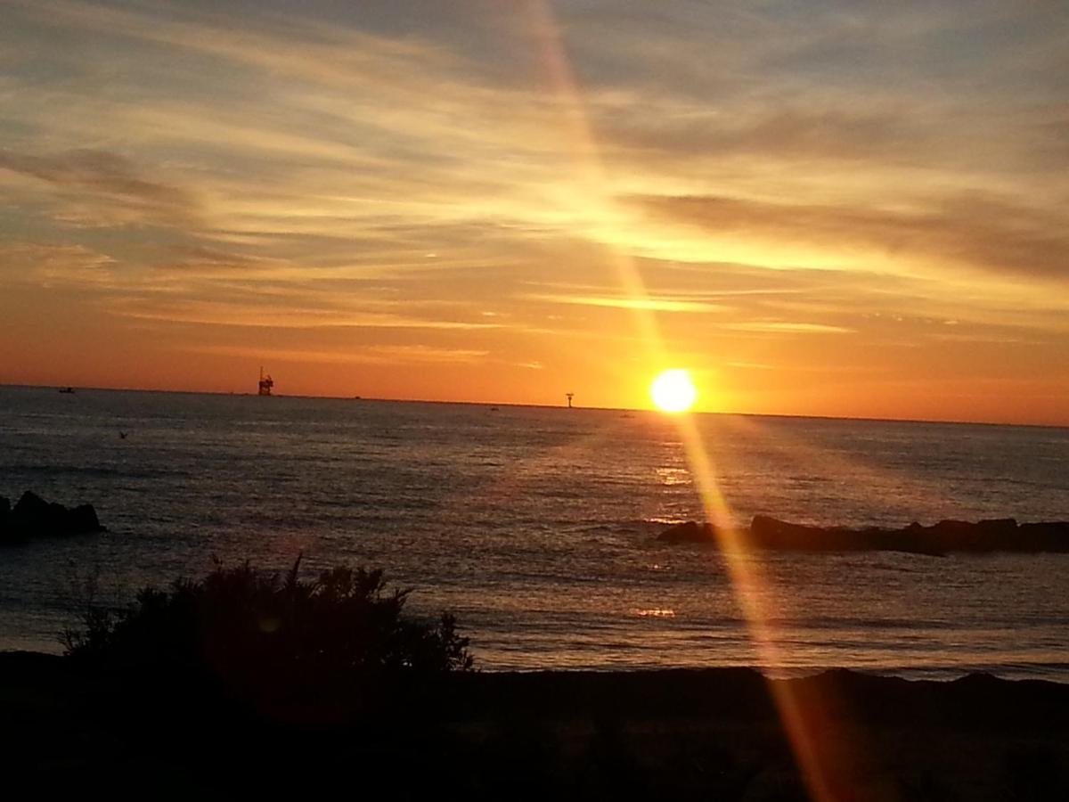 Il Girasole photo 1